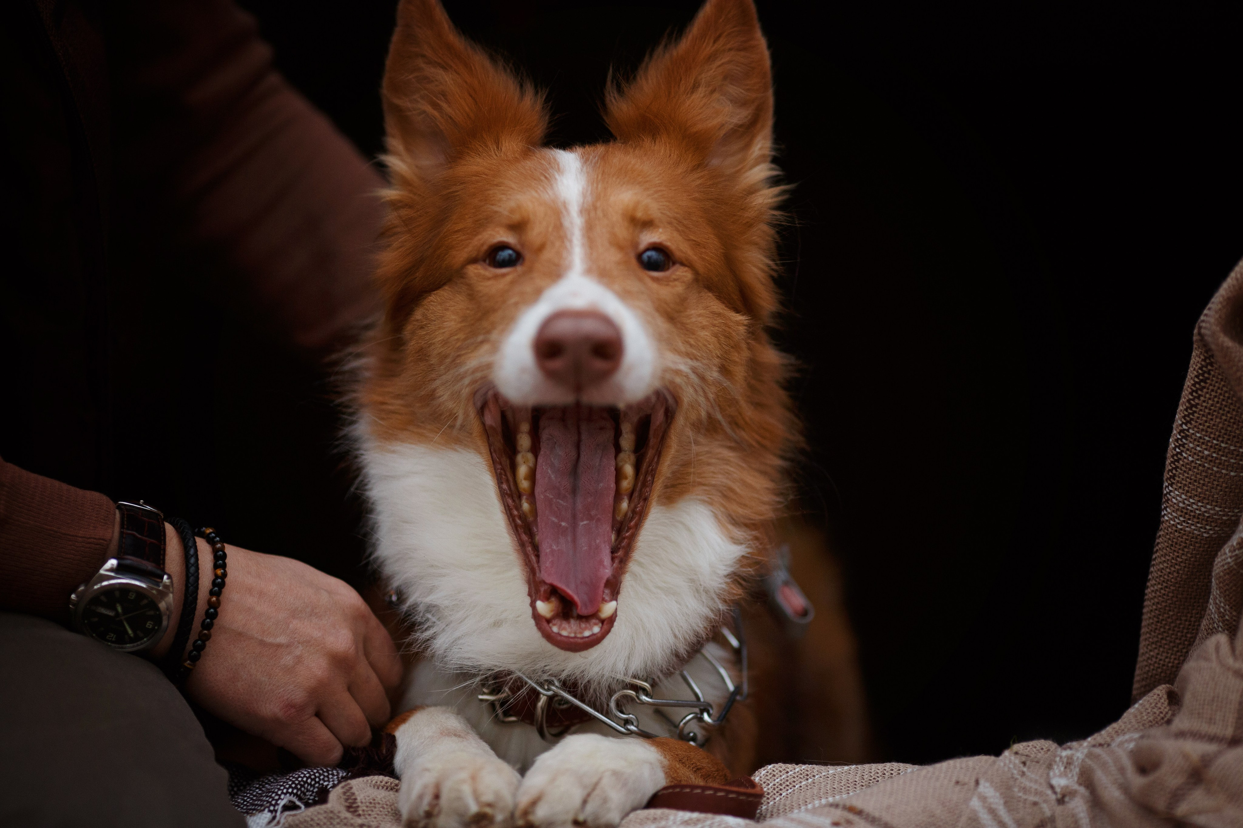Семья. Женский фотограф в Краснодаре Данилова Анна