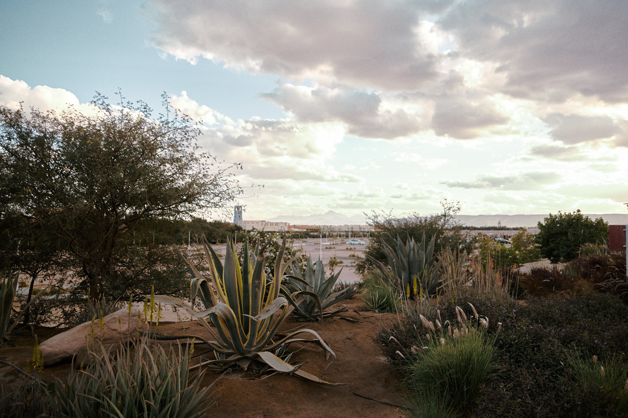 Улица горизонтальная. Jorgis — фотограф в Хургаде / обучение фотографии
