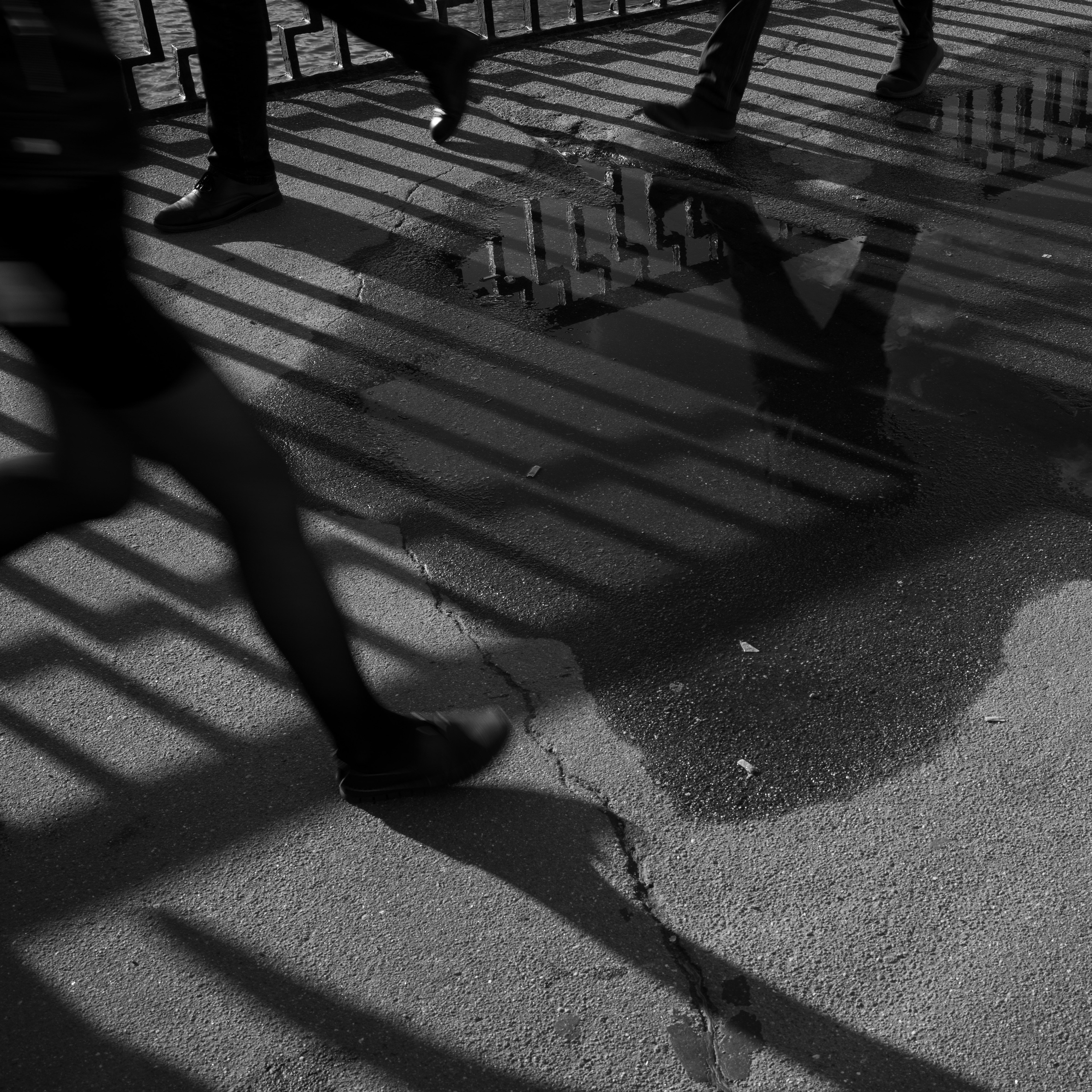 8,08 (Обводный канал, Санкт-Петербург, 2024 г.)