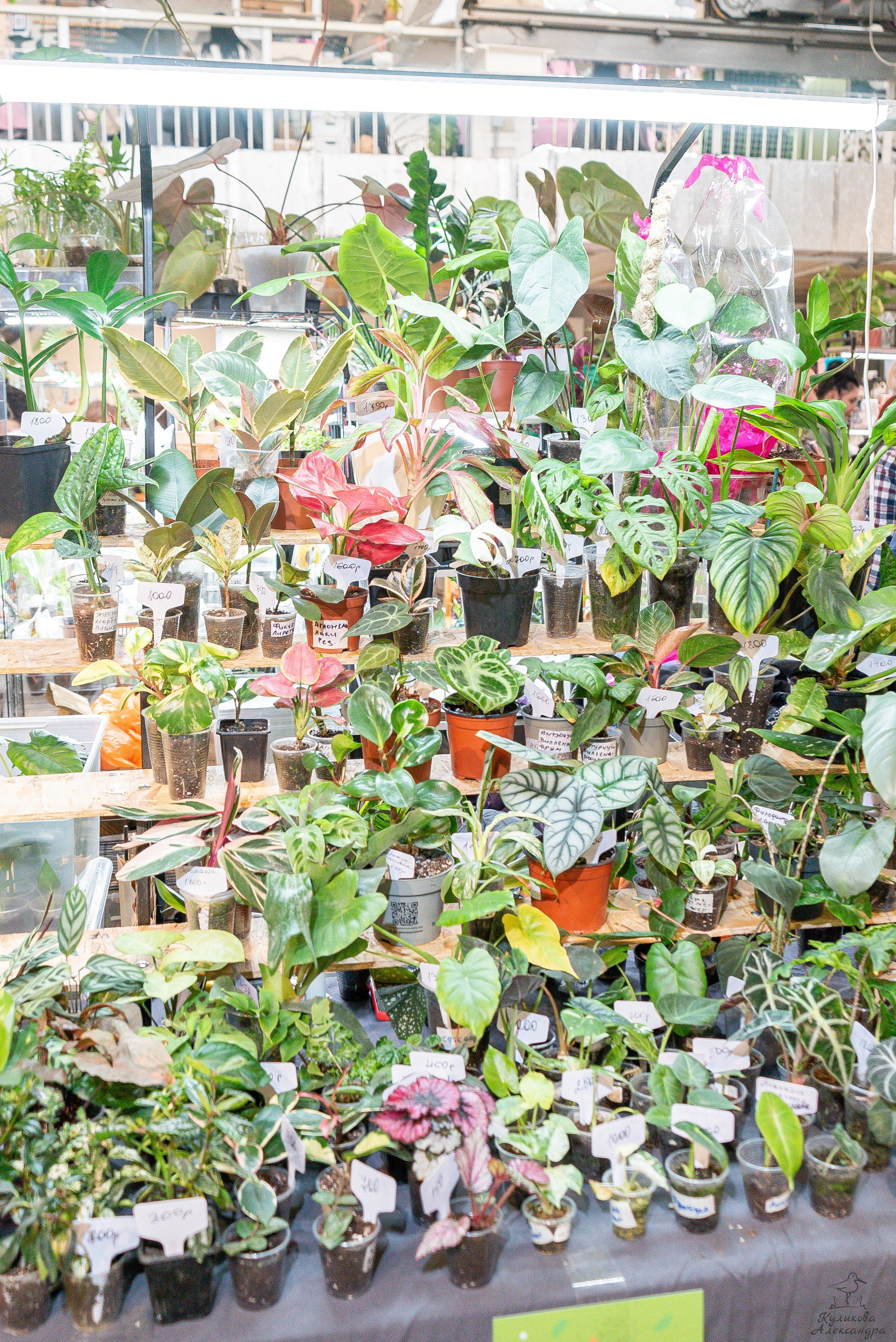 Гроубокс Артплей апрель. Александра Куликова фотограф, Москва