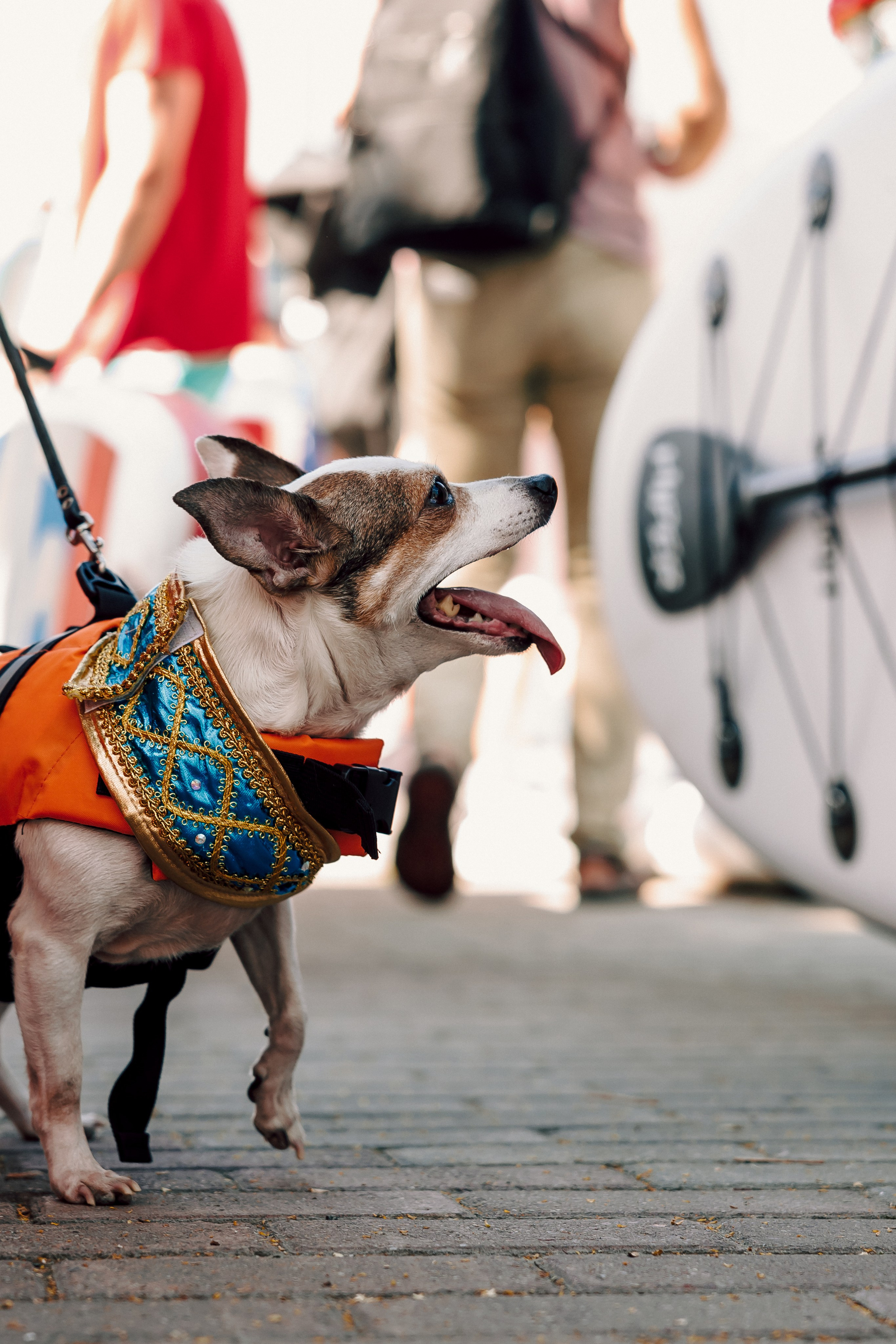 E1 Sup Fest 2024. Лёшка Варзегов — фотограф