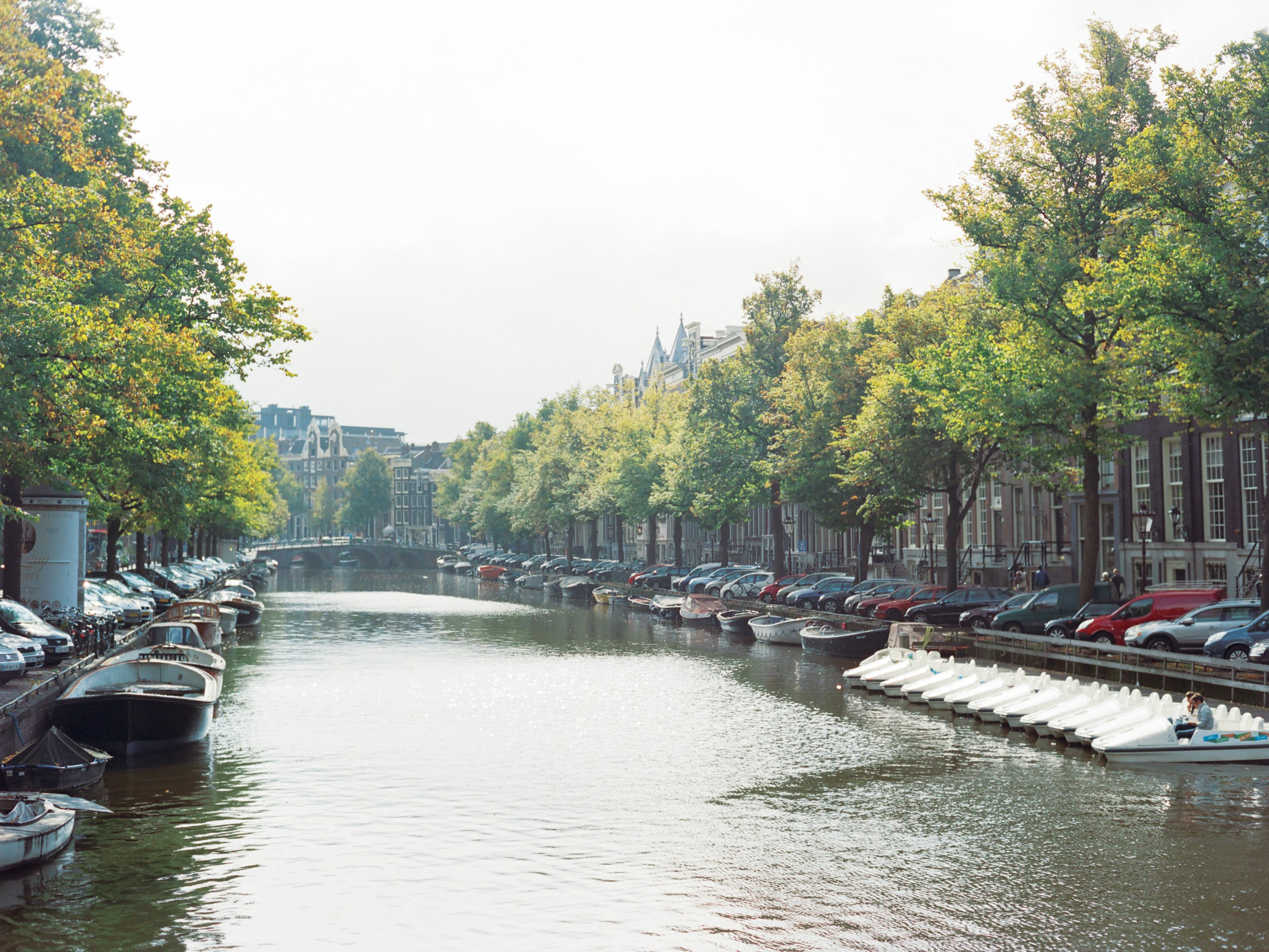 Лиза и Юрий, годовщина в Амстердаме. Изящная фотография | Ксения Милушкина