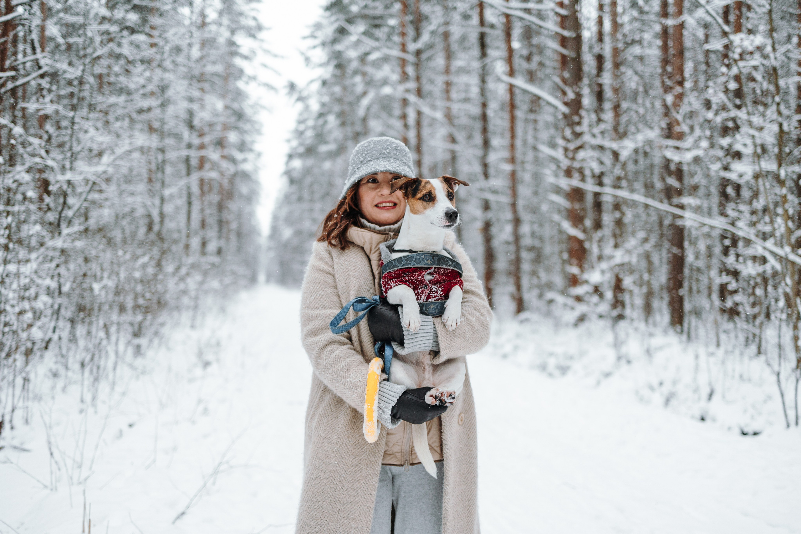 Мики и его семья. Фотограф — Анималист | Санкт-Петербург