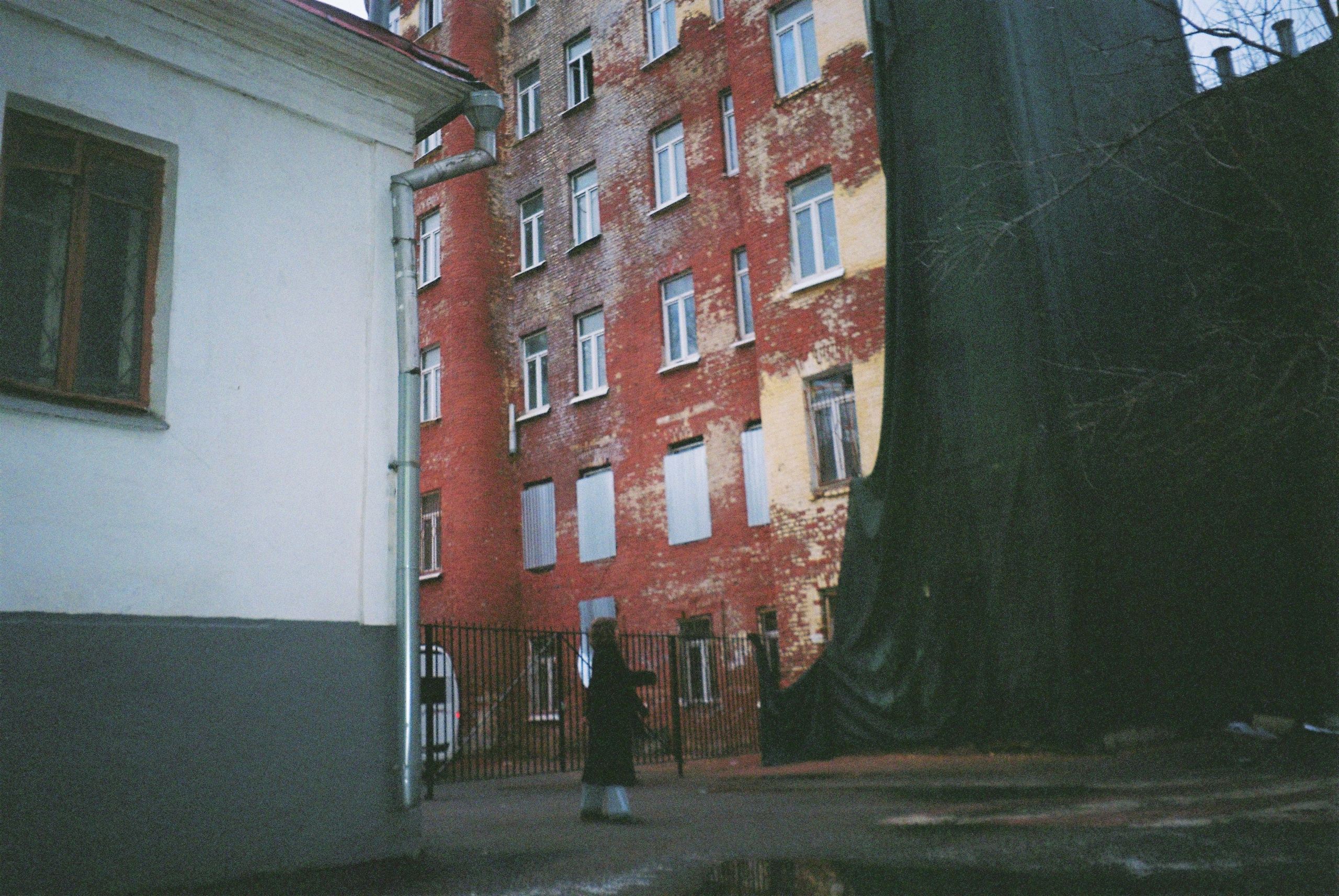 22/11/2025. Влада Касабова. Фотограф