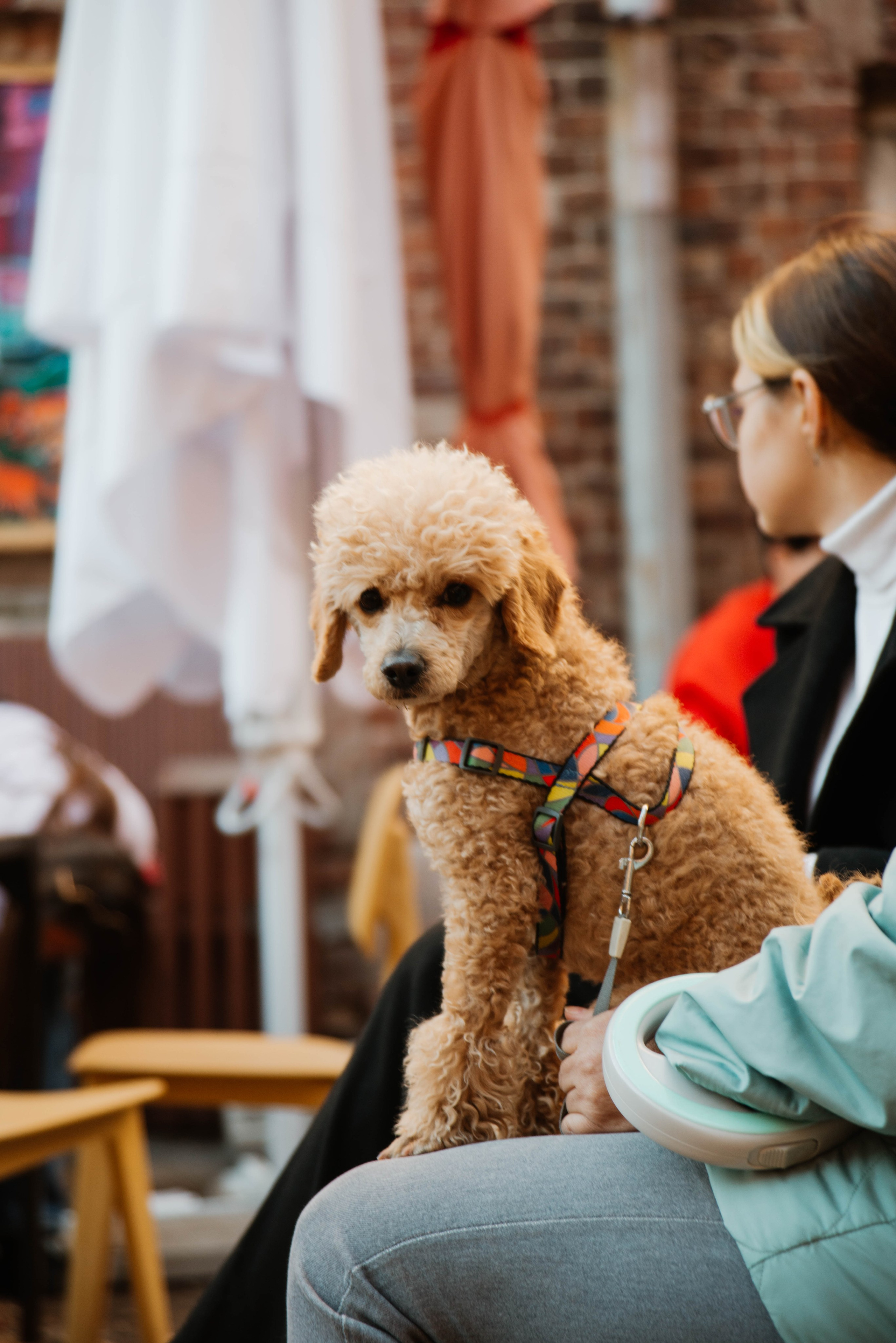 Дог-вечеринка на летнике «Кутёж». Ксения Glossa. Портретный и репортажный фотограф в Самаре