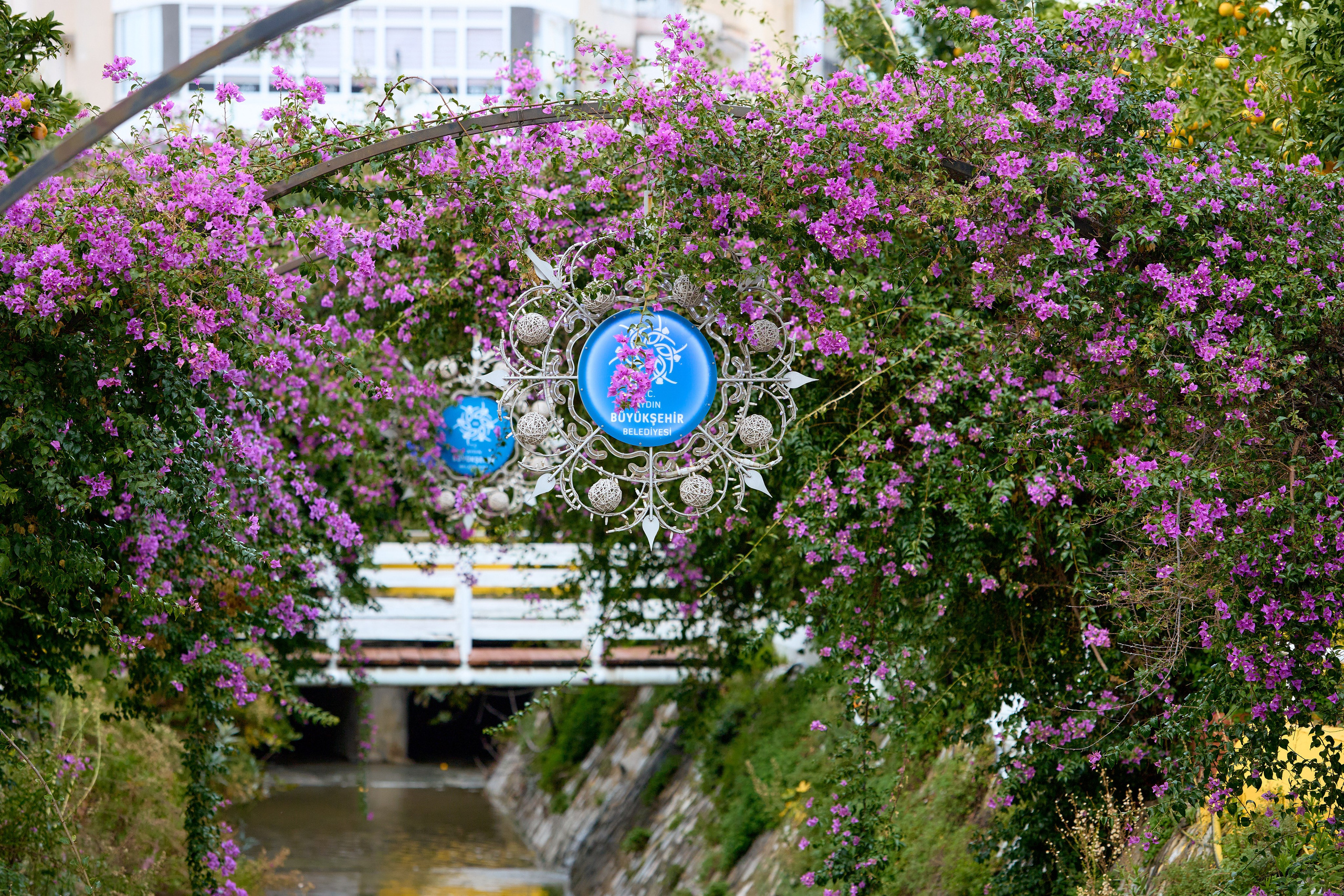 Кушадасы. Фото департамент круизного лайнера Астория Гранде