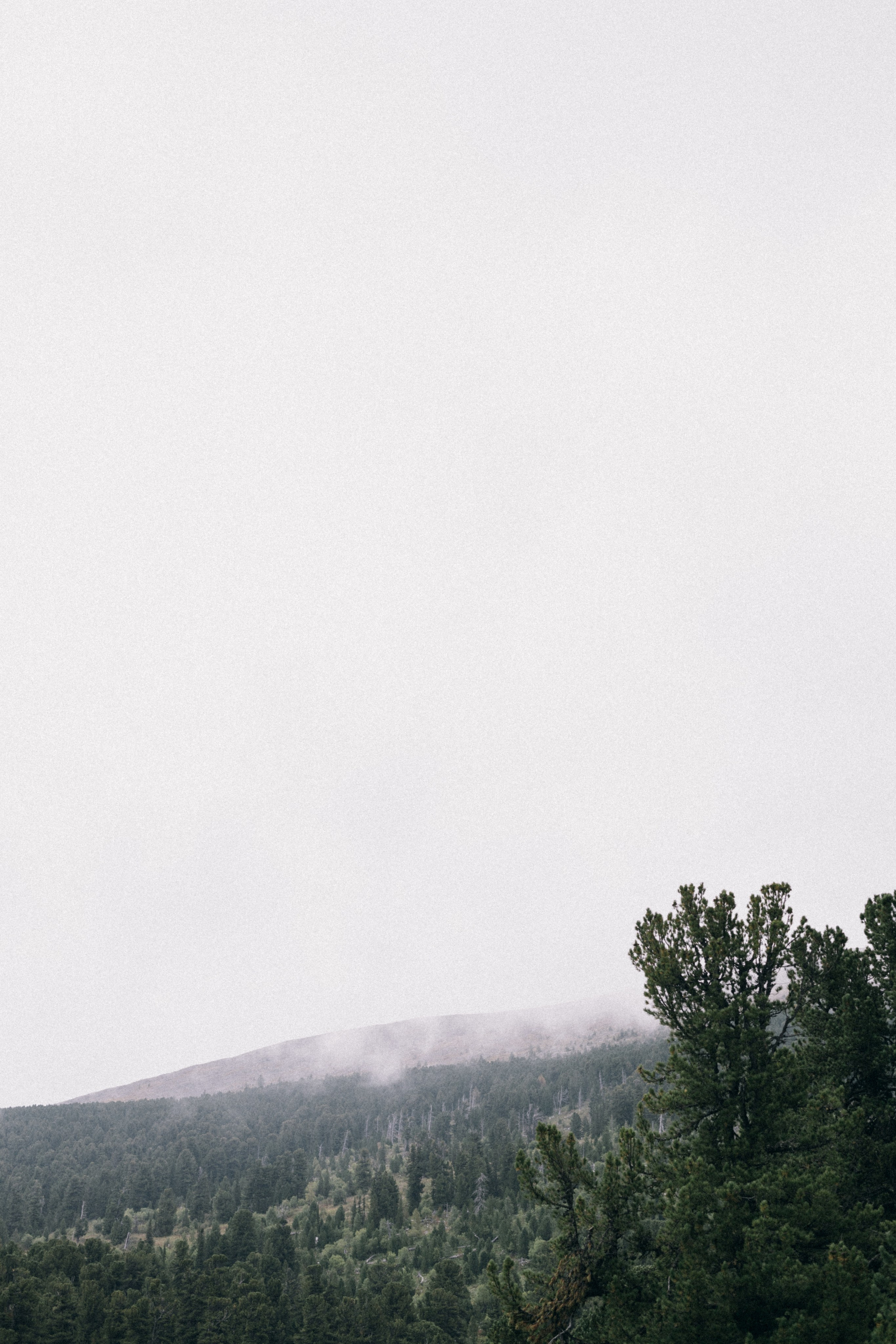 Алтай, природа и эстетика. Александр Чернин. Семейный и событийный фотограф