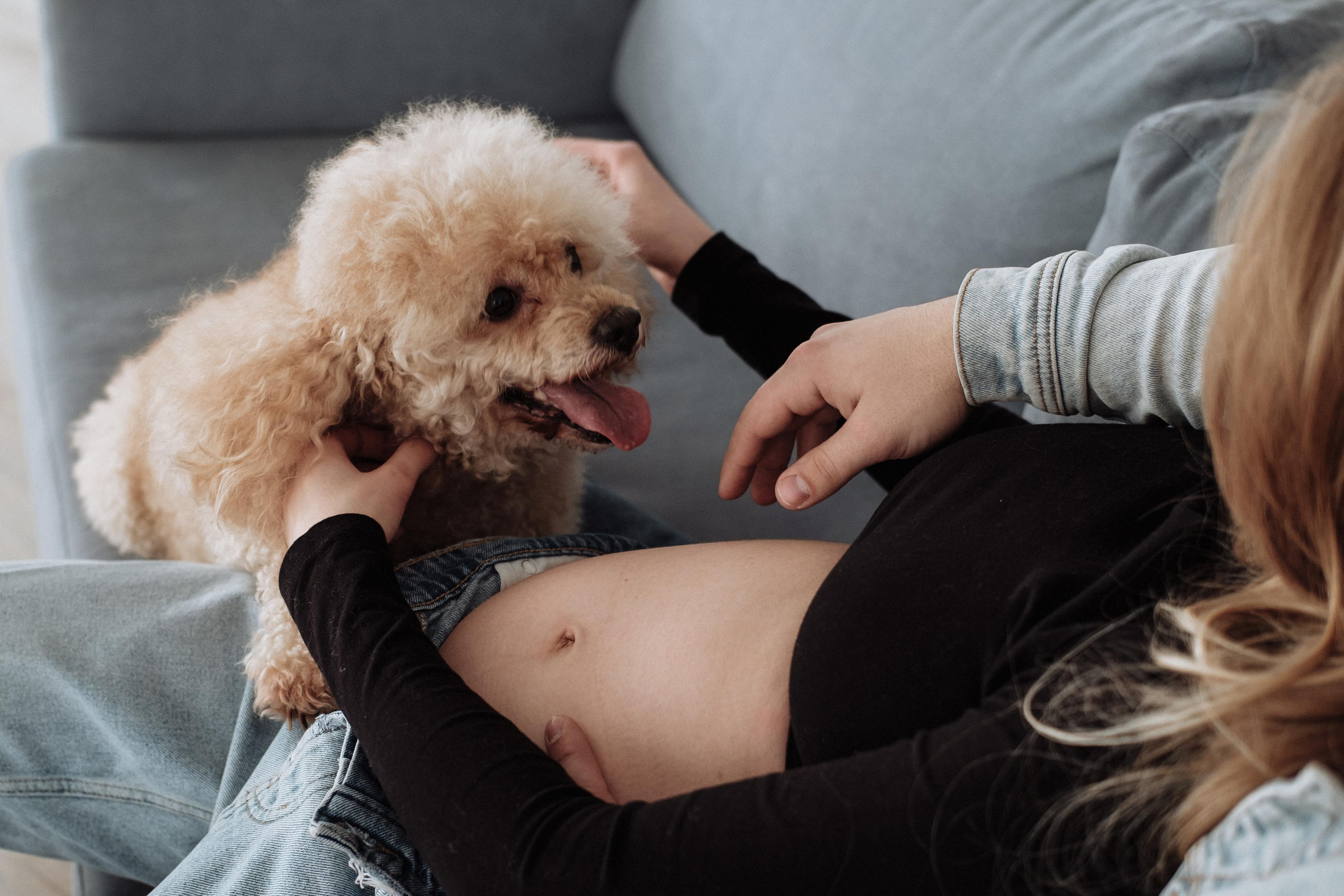 Gleb & Kate. Photographer Cologne Bonn Europe Anna Ketova