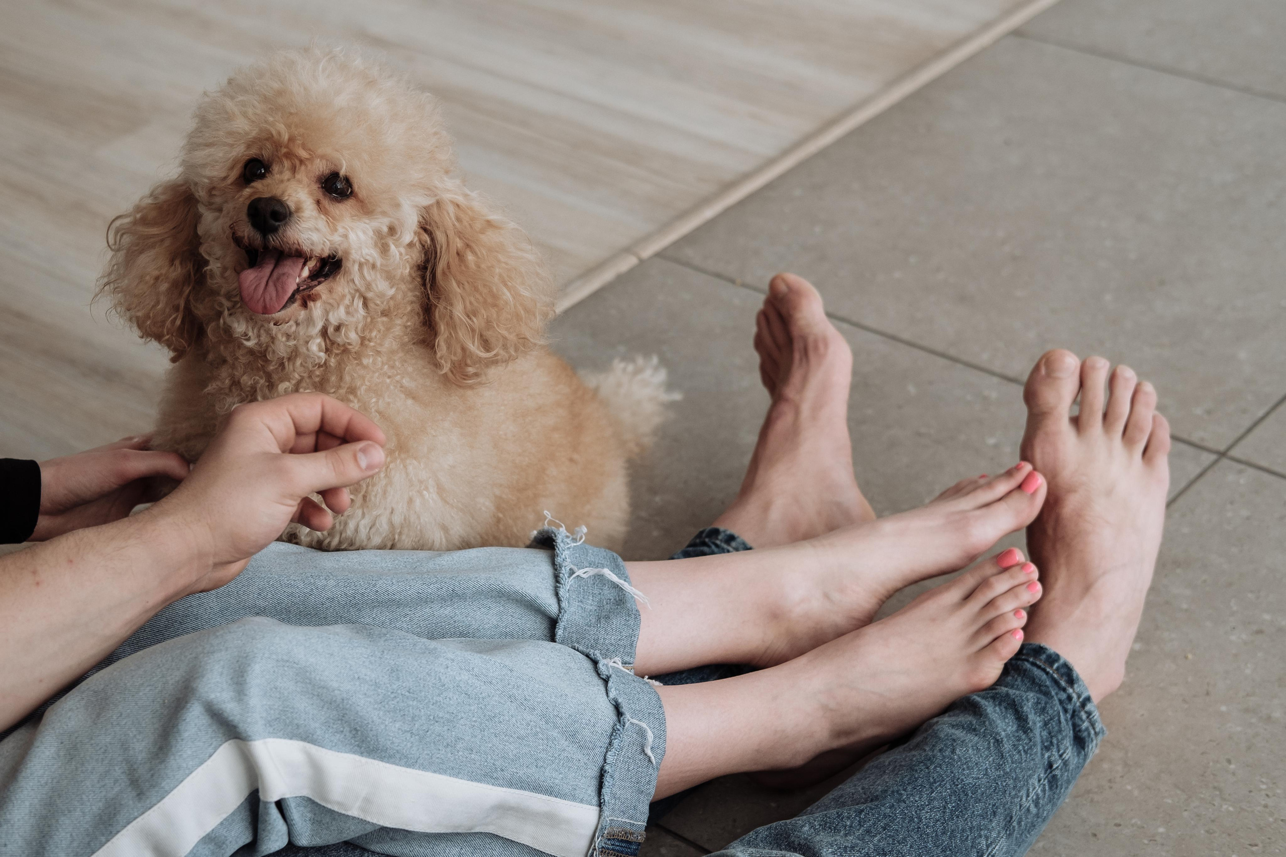 Gleb & Kate. Photographer Cologne Bonn Europe Anna Ketova