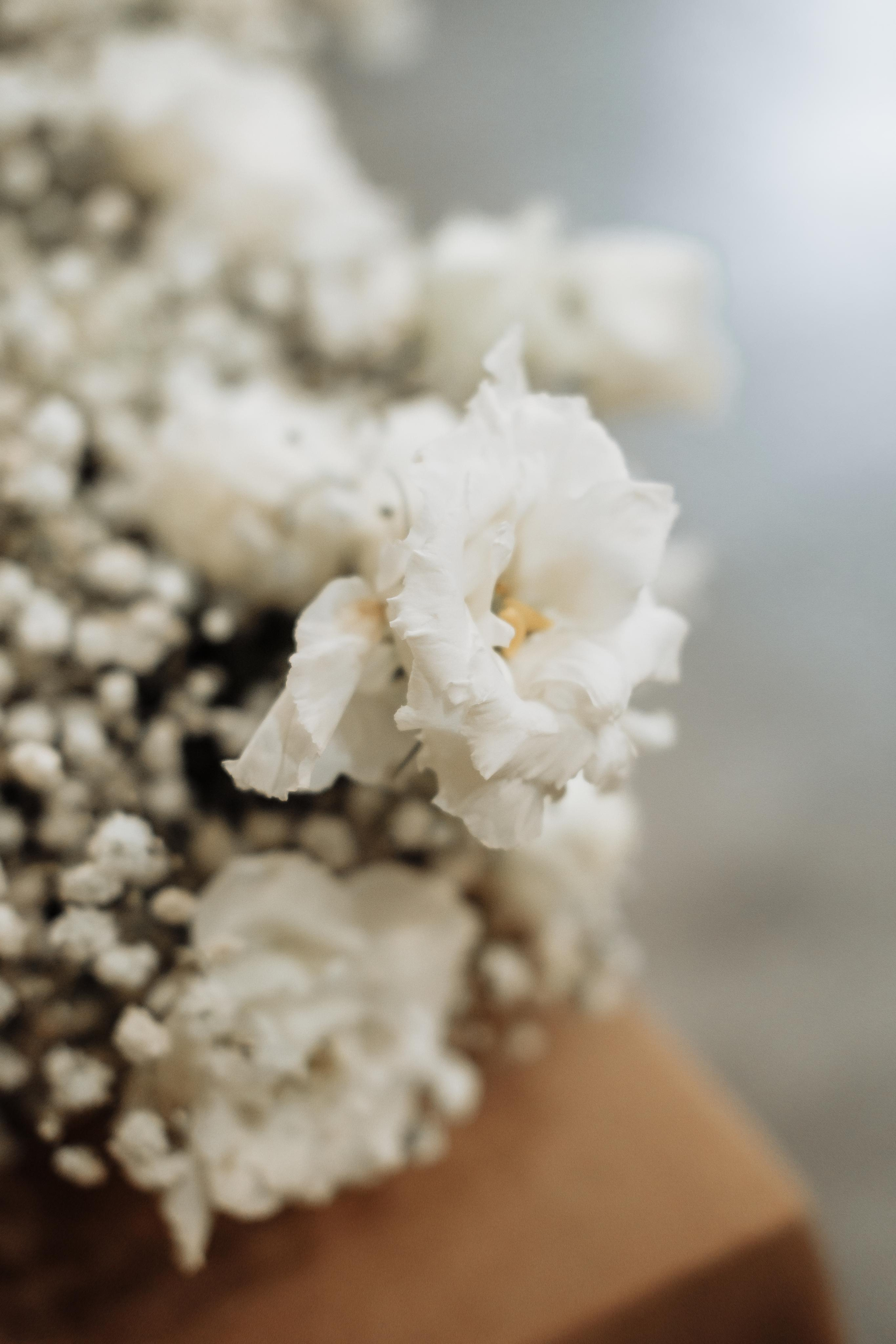 Nikita & Jane. Photographer Cologne Bonn Europe Anna Ketova