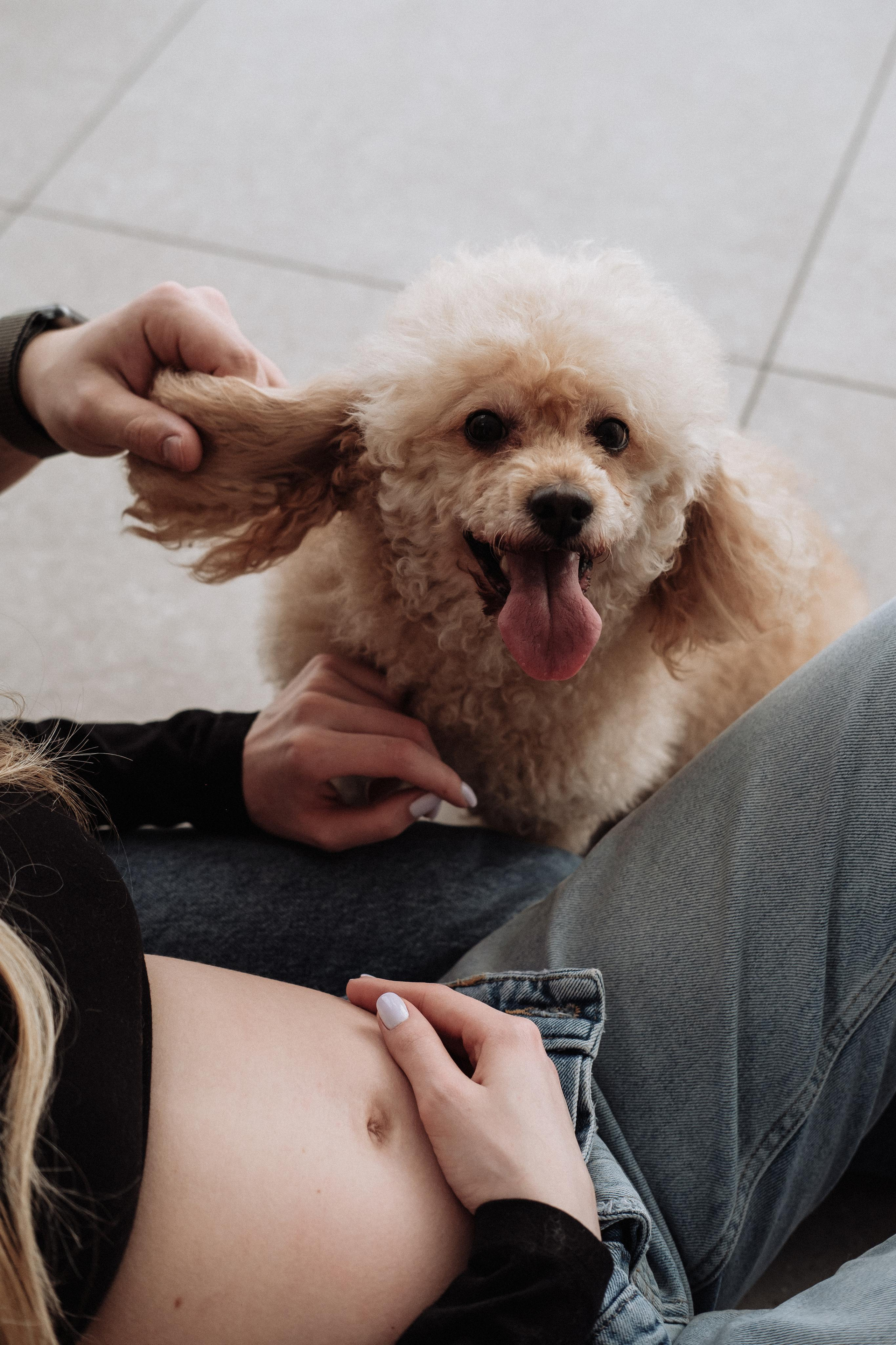 Gleb & Kate. Photographer Cologne Bonn Europe Anna Ketova