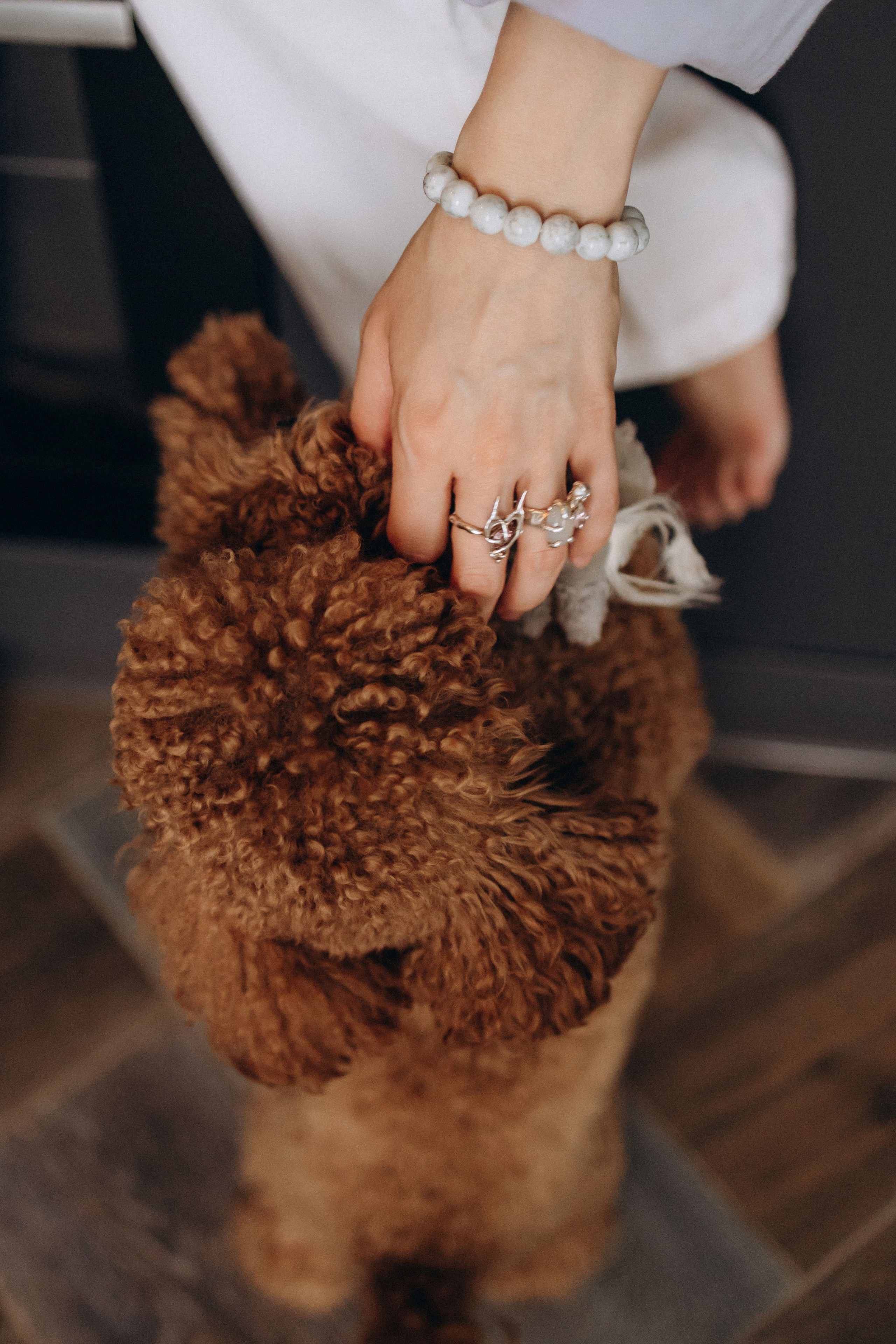 Любовь в ритме винила. Семейный фотограф в Москве, Щелково, Фрязино _ Виктория Степанова
