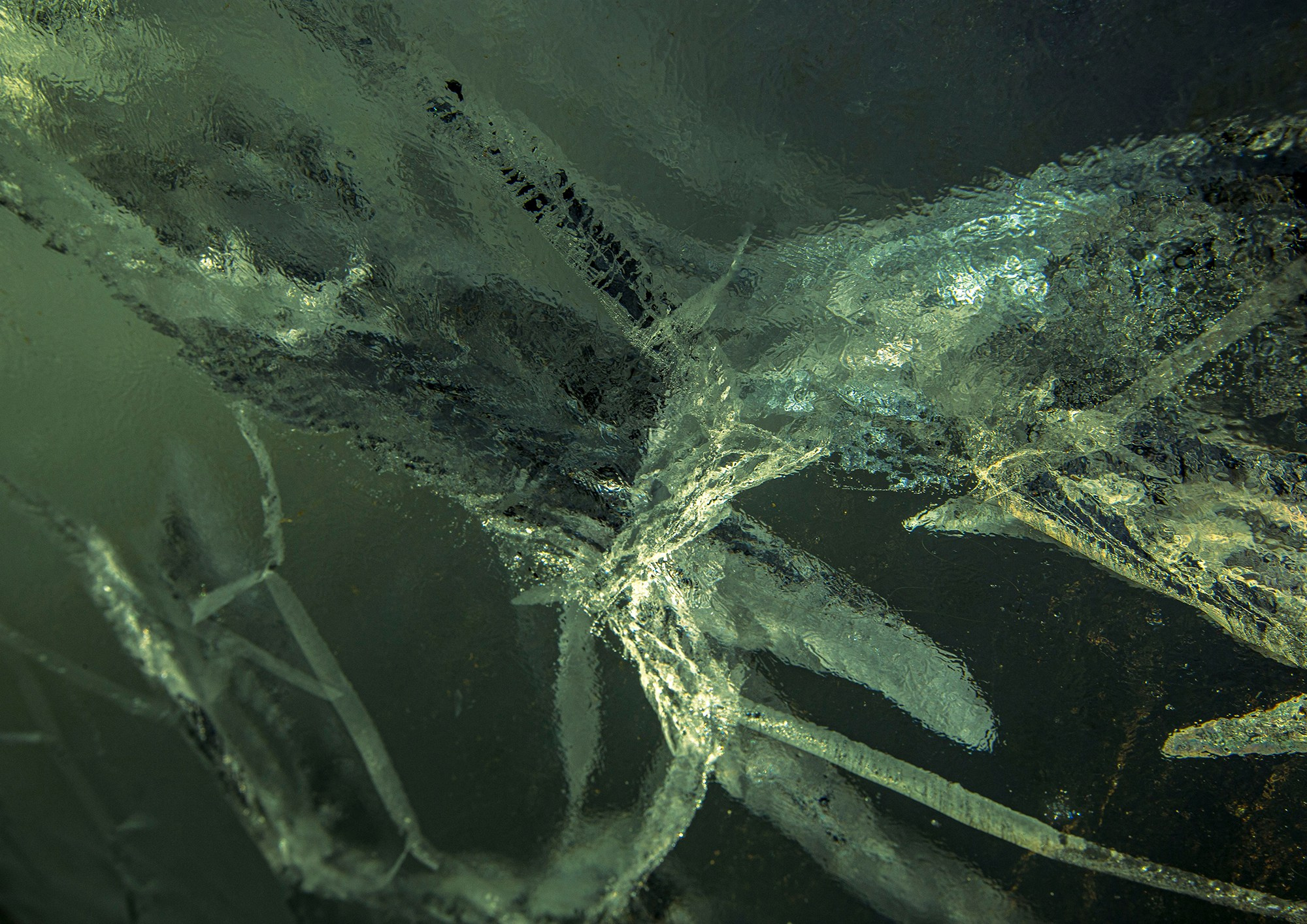 «Мы здесь». Фотограф Переверзева Наталья / Ханты-Мансийск