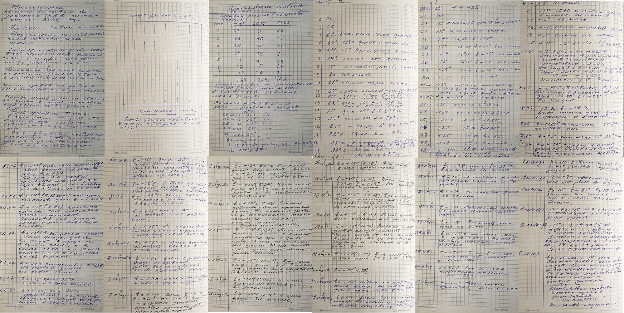 1 квадратный метр земли. Margarita Khatmullina