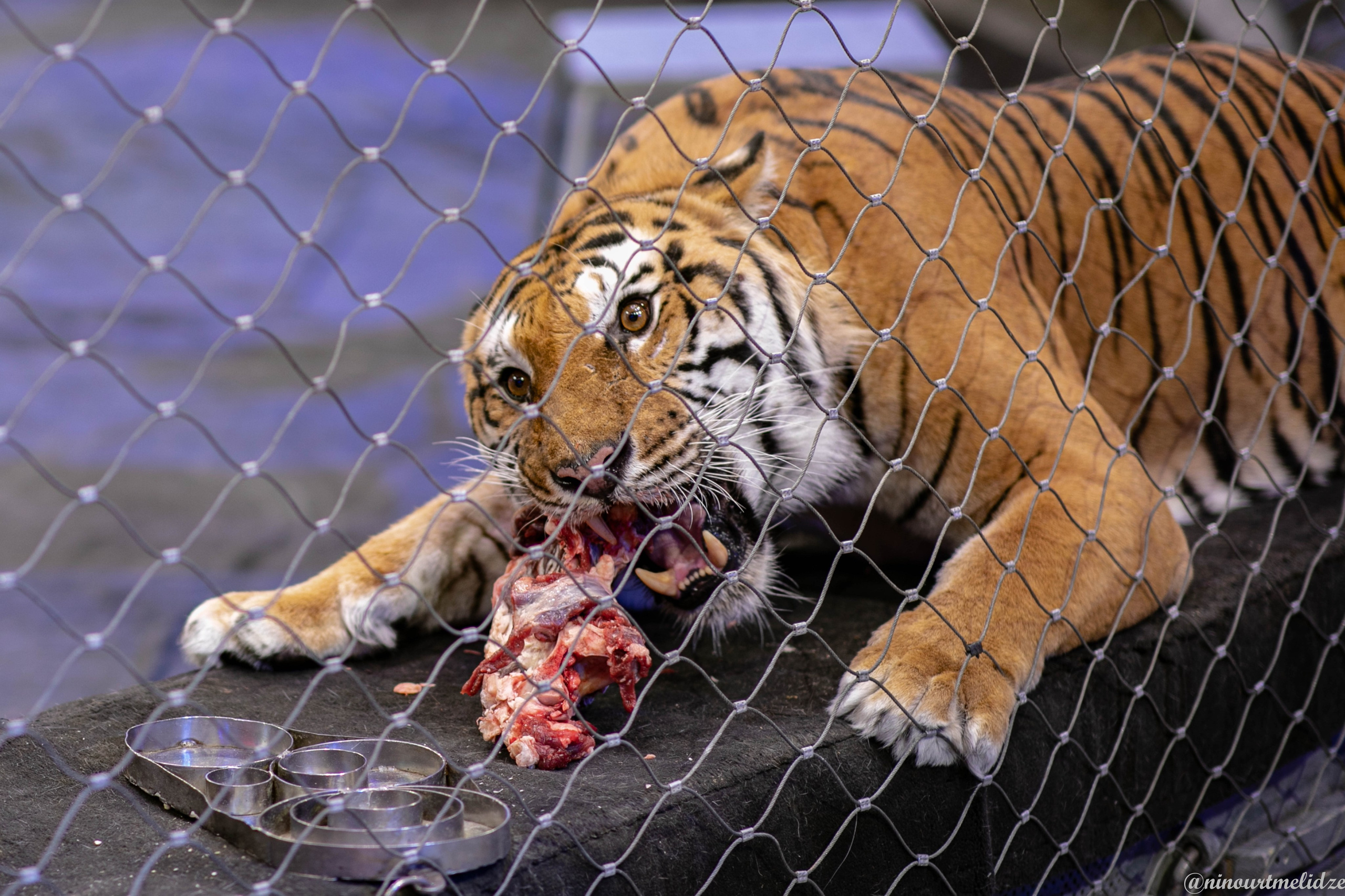 В закулисье у братьев Запашных. Art photographer Nino