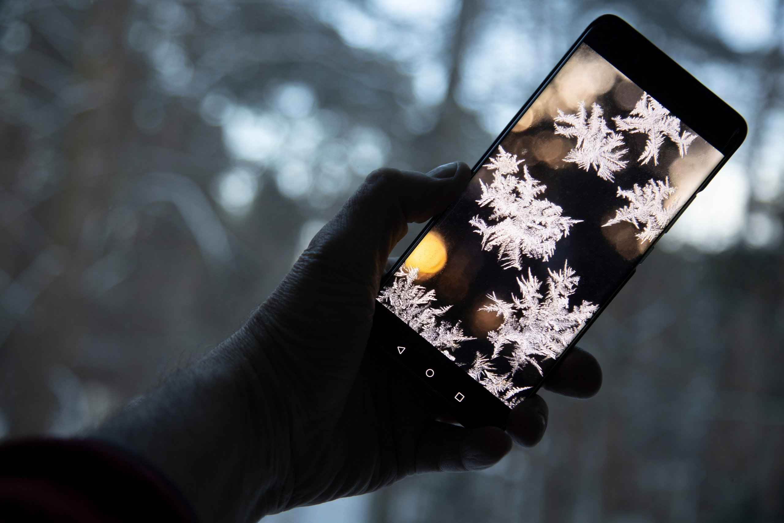 Фото. Фотограф Лагутин Анатолий