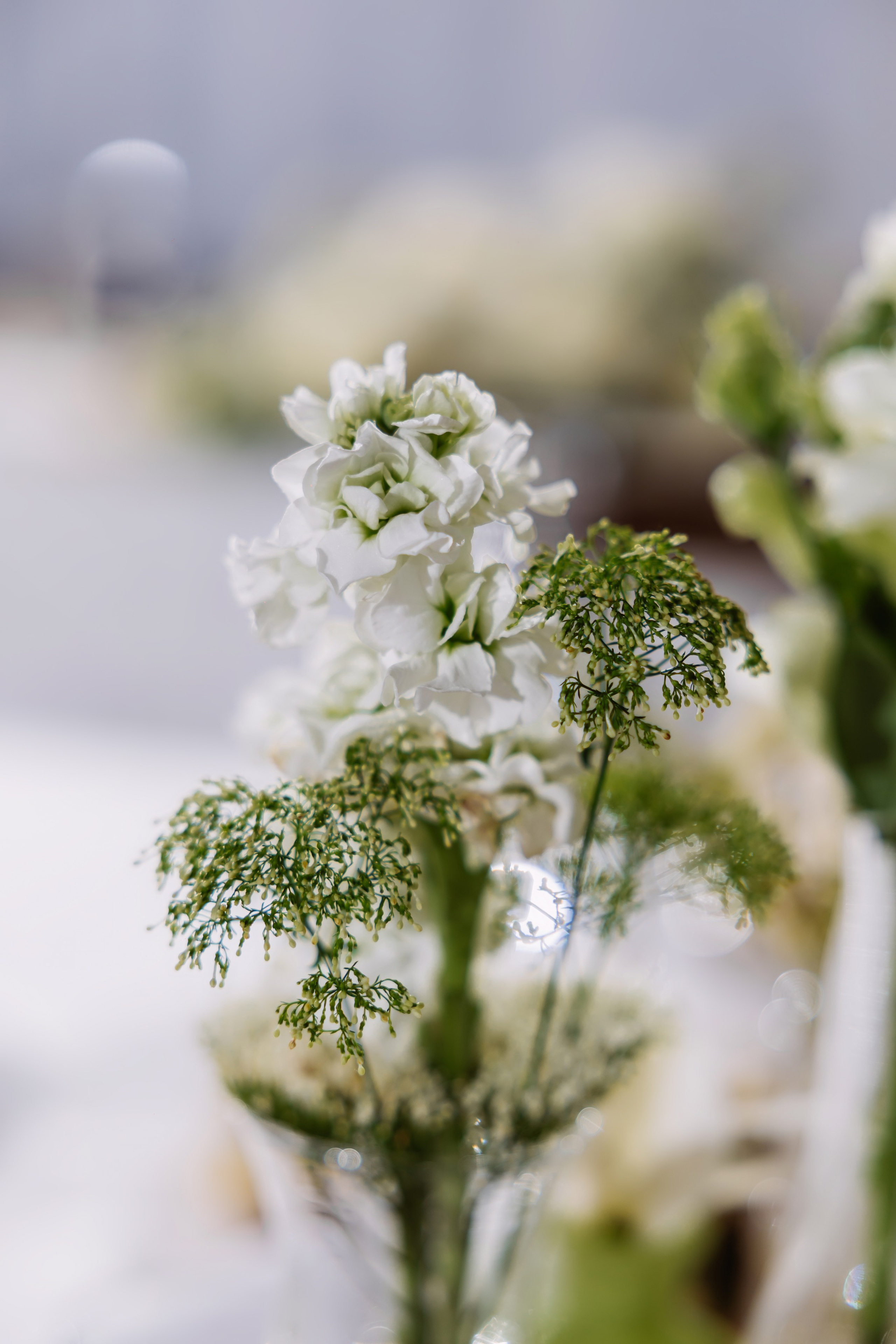 Соня и Платон. ФОТОГРАФ ИРИНА ШАМАТАВА