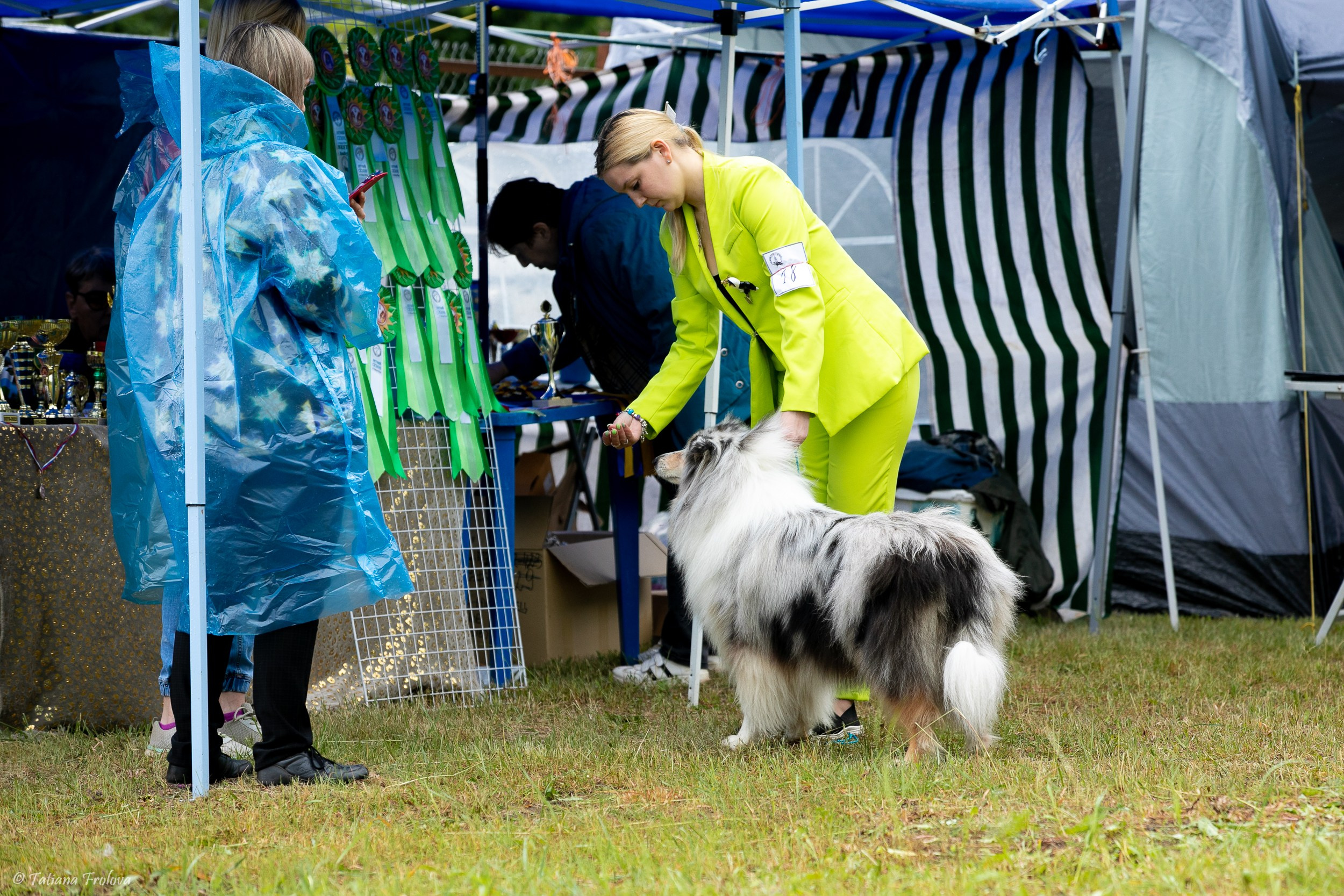 Фотосопровождение выставки собак в Московской области и Москве. Фотограф-анималист в Москве и Московской области Татьяна Фролова