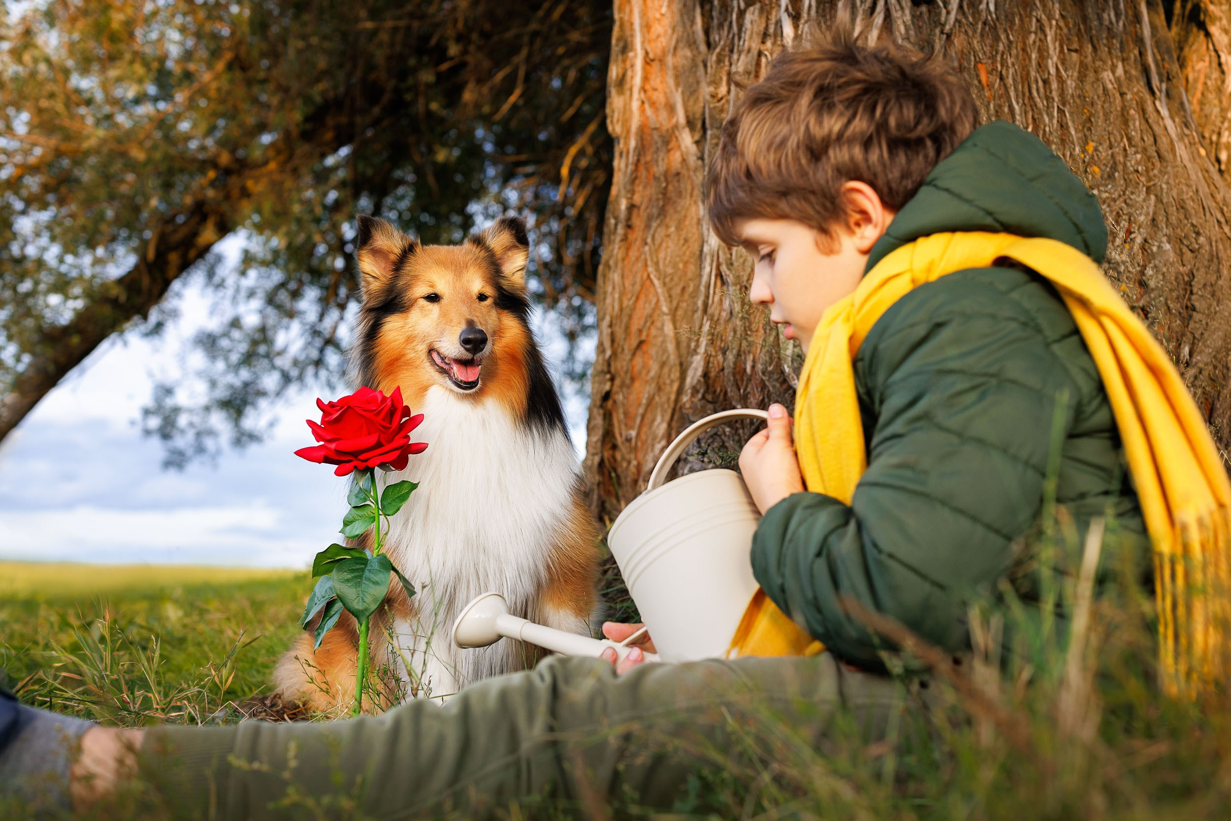 Фотосессия Маленький Принц. Фотограф-анималист в Москве и Московской области Татьяна Фролова