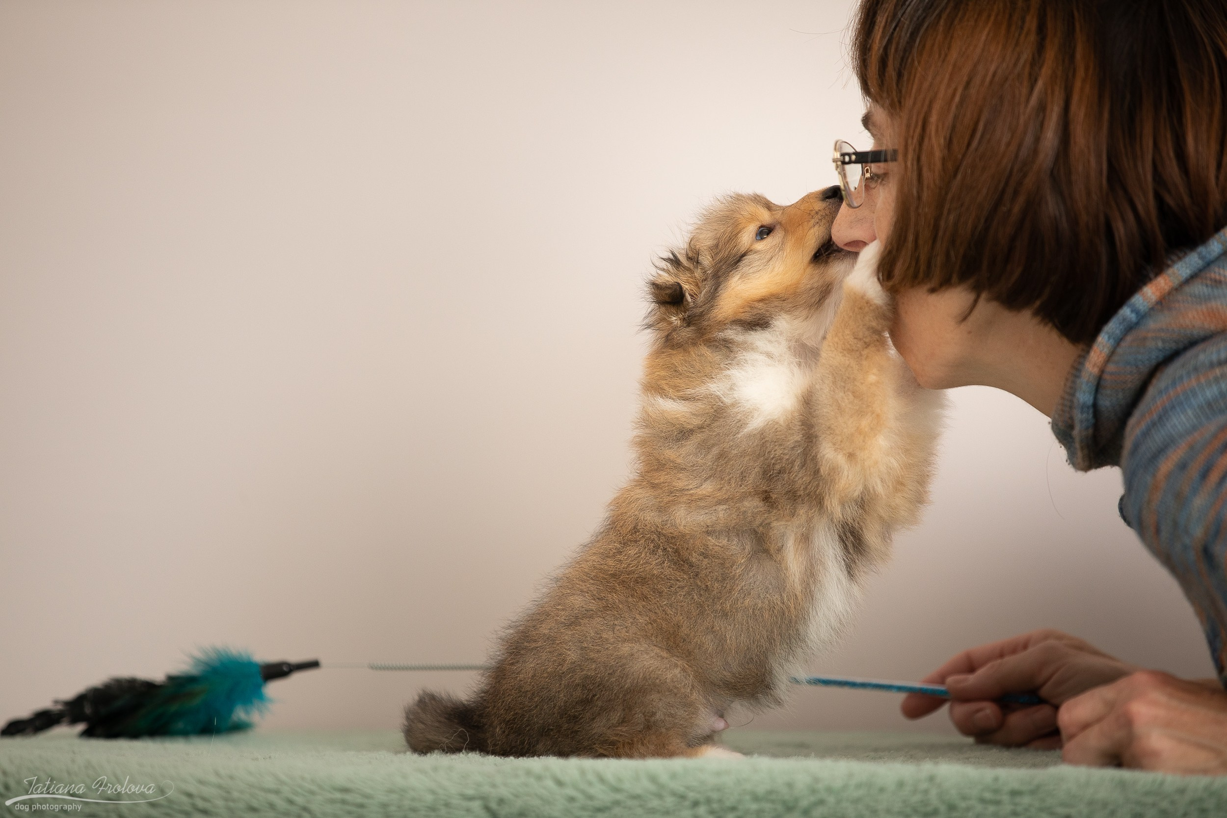 Съёмка щенков дома. Фотограф-анималист в Москве и Московской области Татьяна Фролова