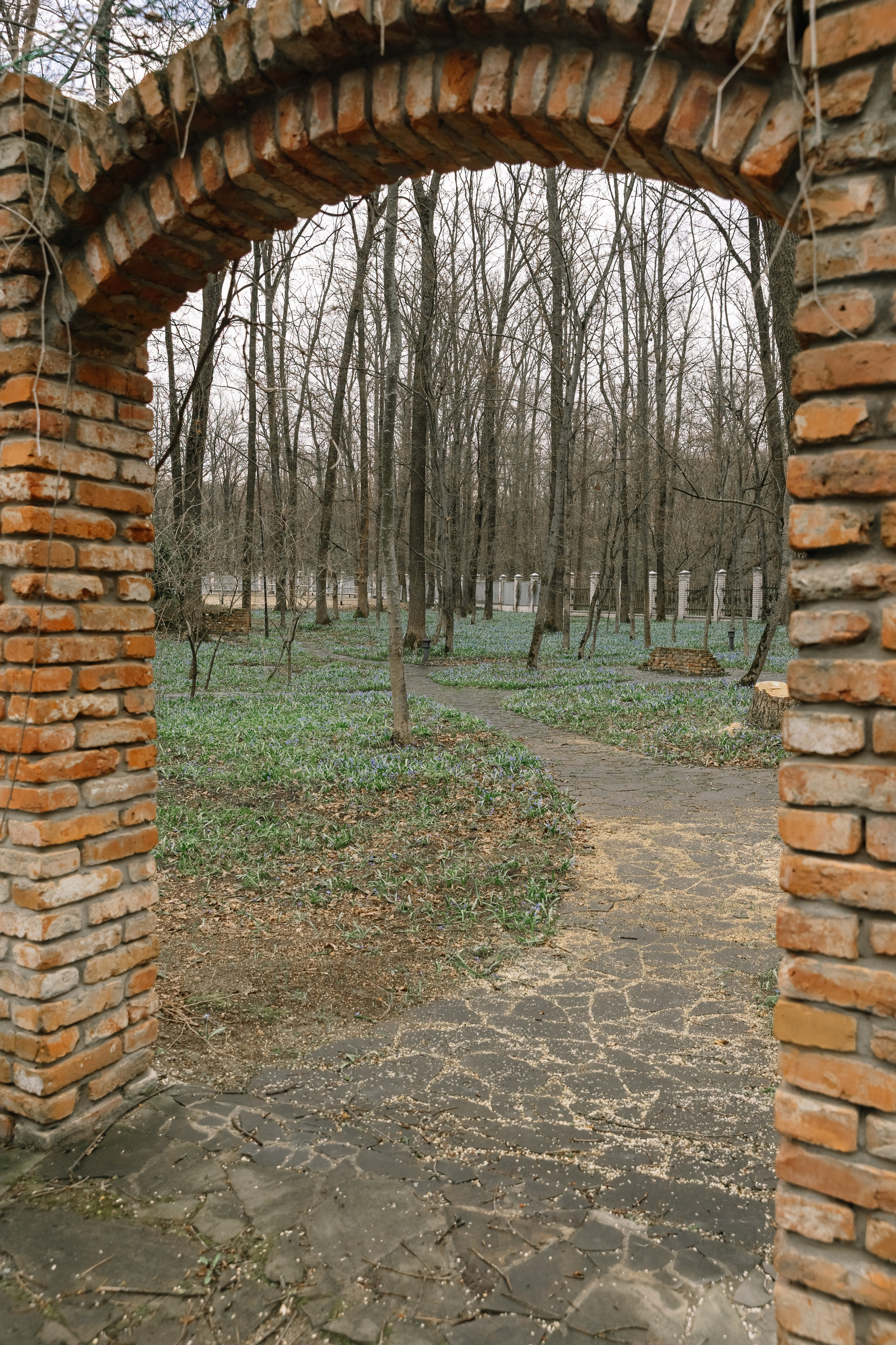 День Орловского рысака. Парк-отель Яр. Свадебный, репортажный фотограф Ирина Шкурина