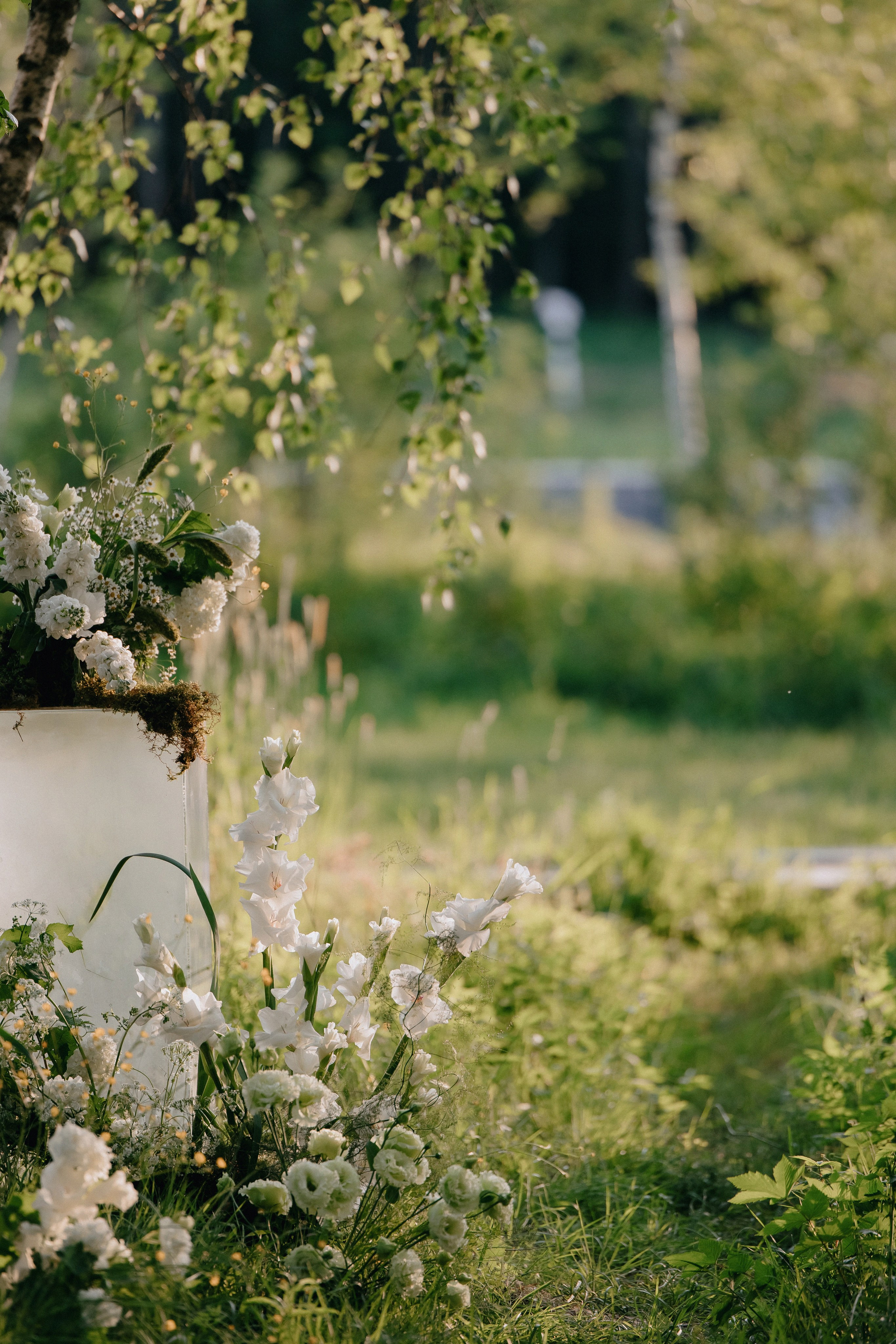 Загородная камерная свадьба Дмитрия и Екатерины. Свадебный фотограф Москва