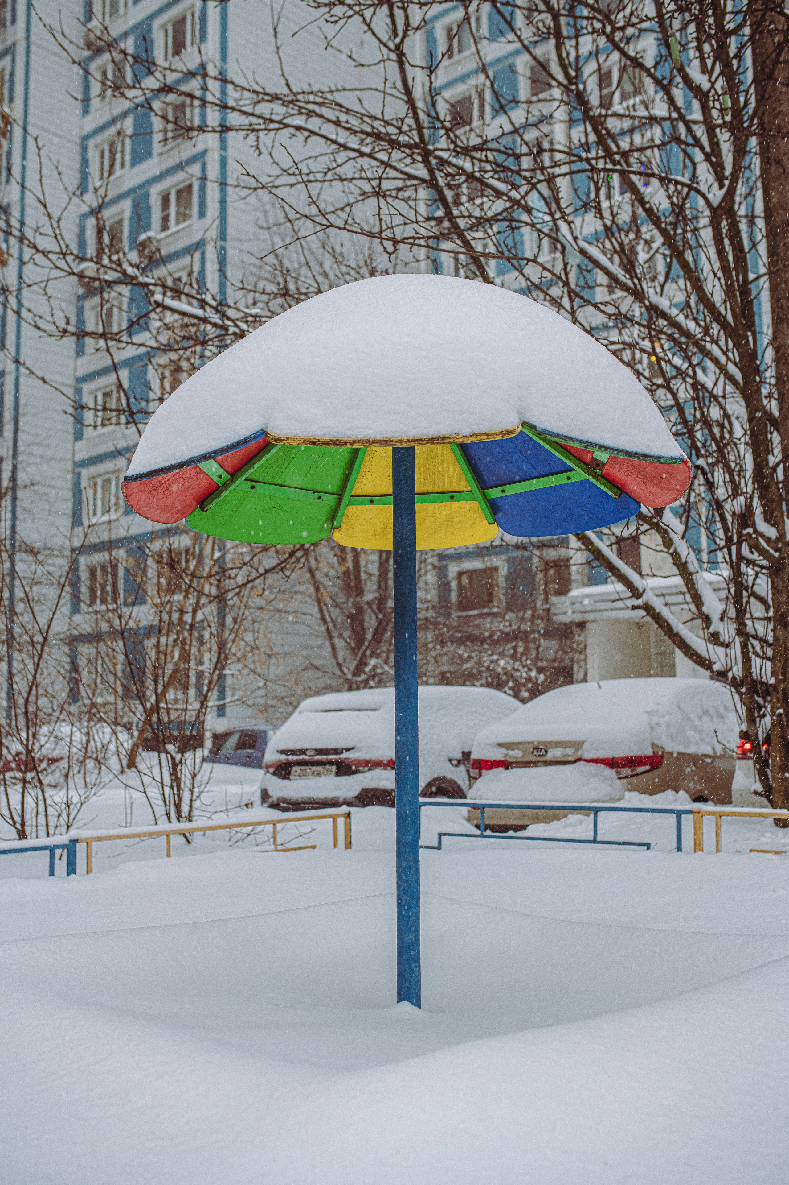 Цветные фотографии. Фотографии Лены Соколовой