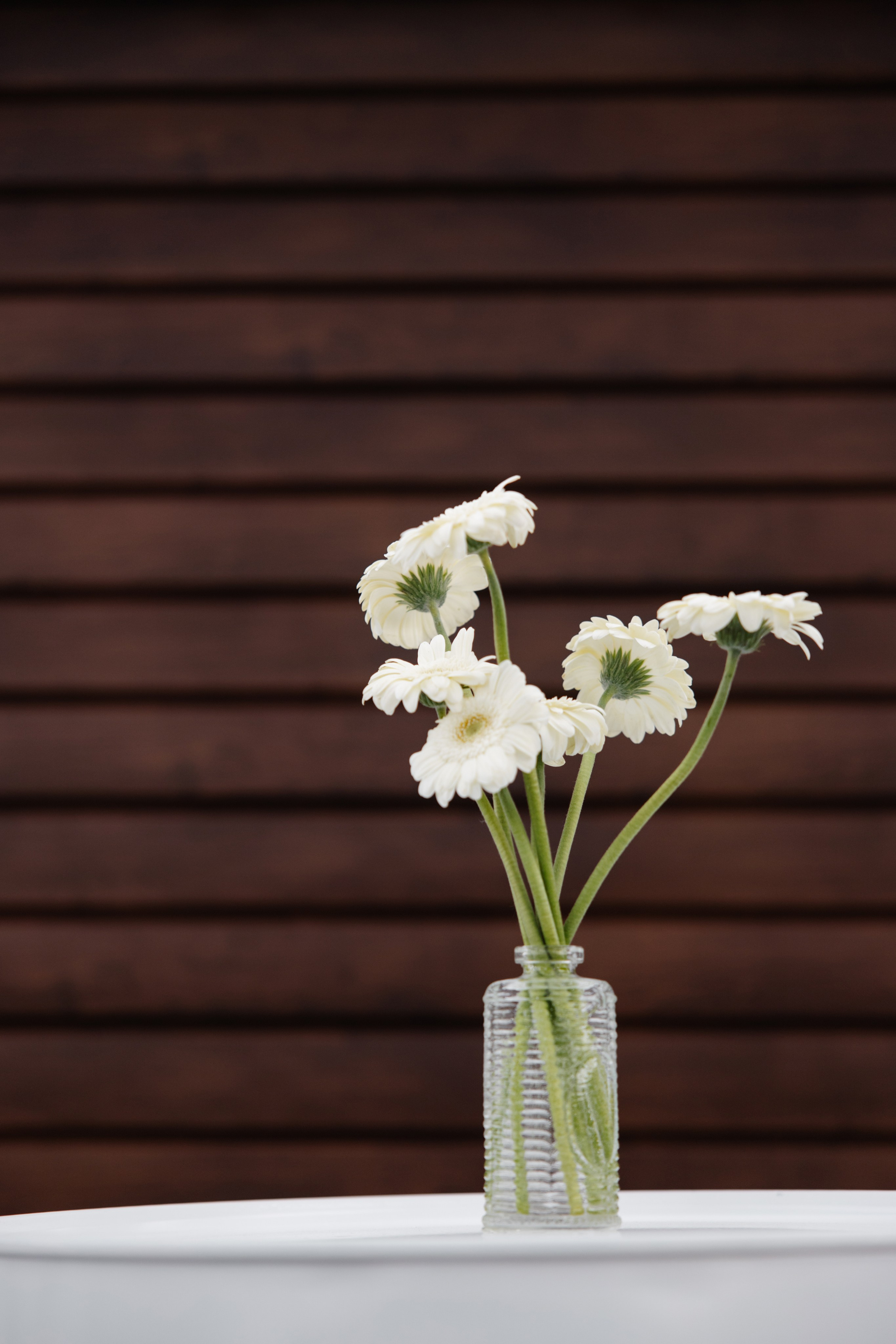 ГЕНДЕР ПАТИ. Фотограф в Красноярске