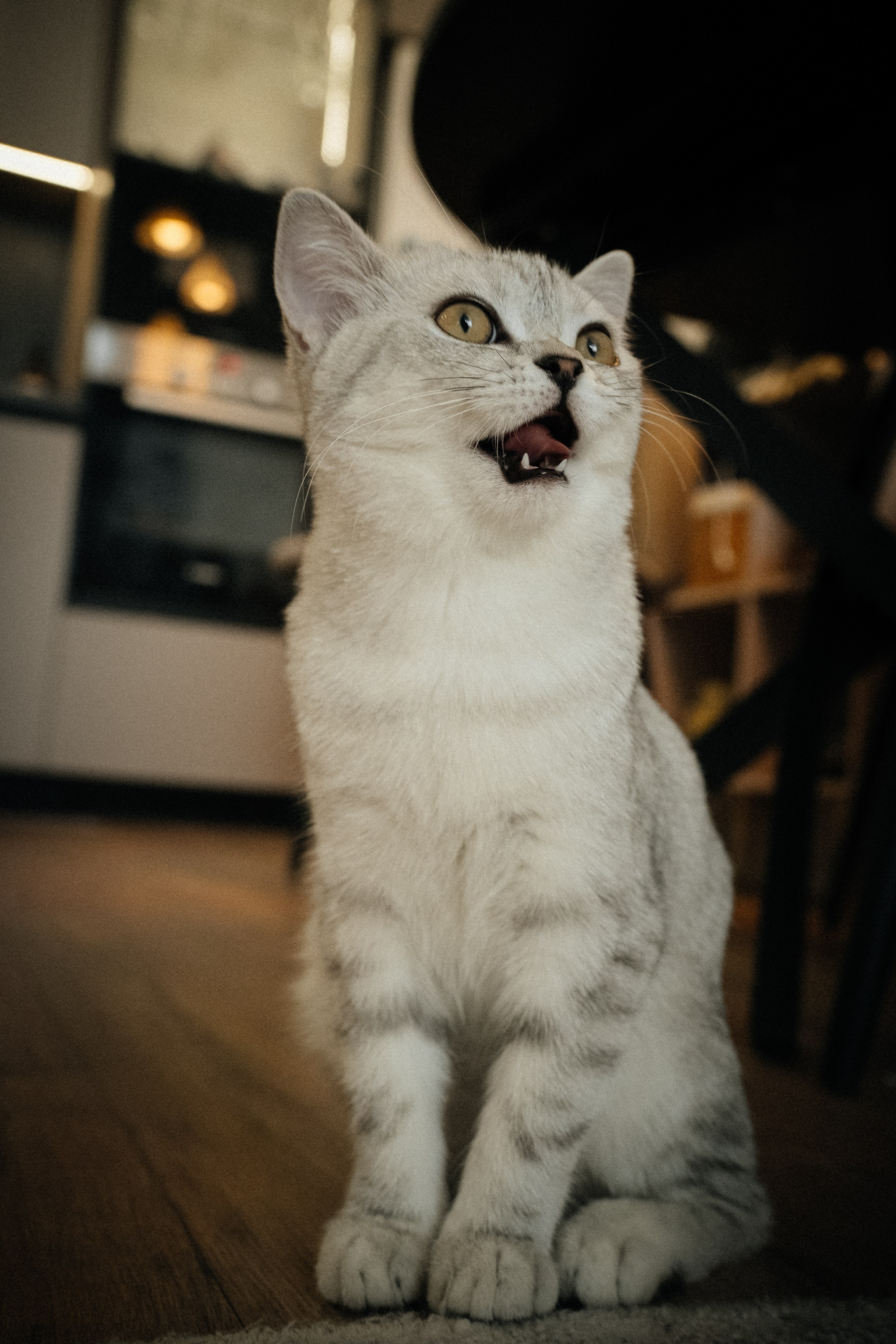 Семья Ксении и Максима. Фотограф | Юлия Арт| Обучение