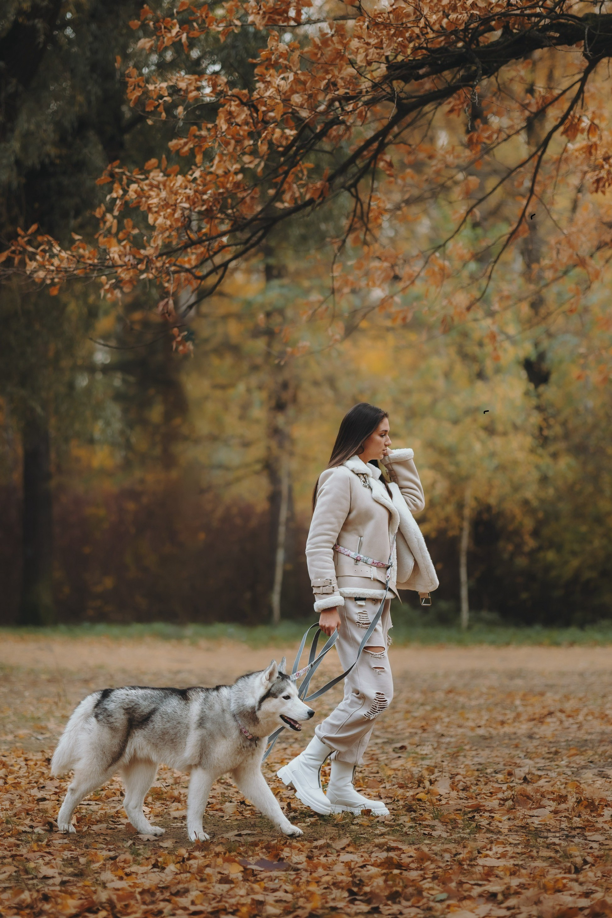 Настя и Айс. Фотограф-анималист в Санкт-Петербурге Алина Яхонт