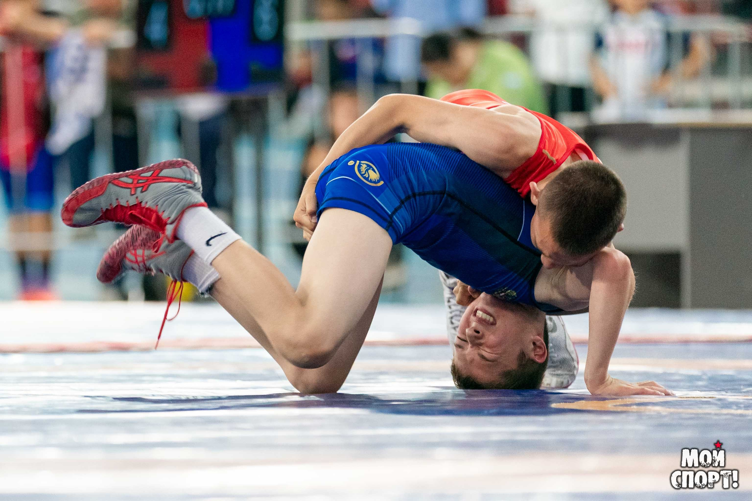 Международный, всероссийский и республиканский турниры по вольной борьбе среди юношей в честь П. П. Пинигина. Студия «Мой Спорт!» — все о спорте в Якутии