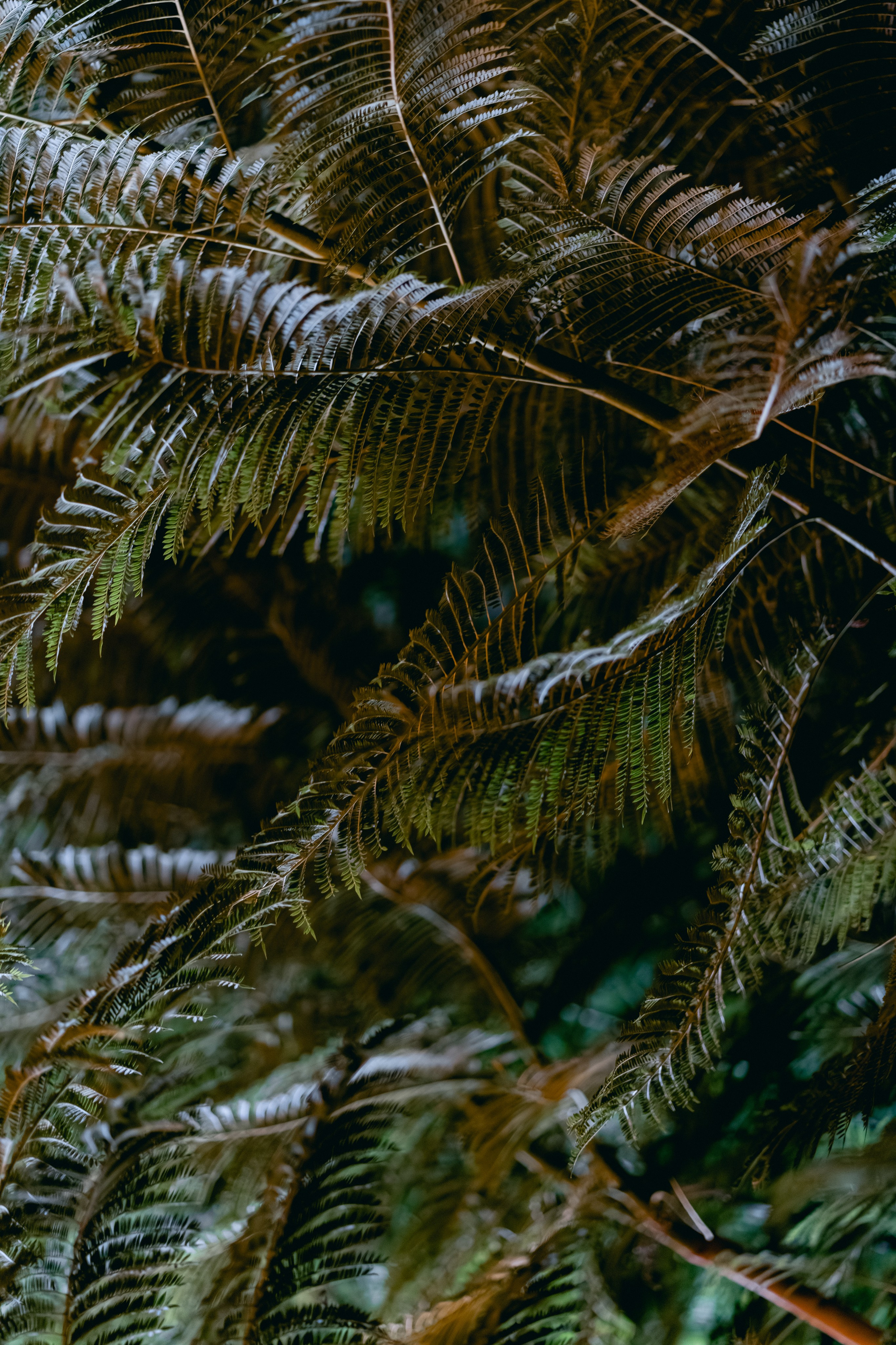 A German wedding among palms. Wedding & Documentary Photographer based in Nuremberg — available across Europe & Turkey | Vitalii Nasonov