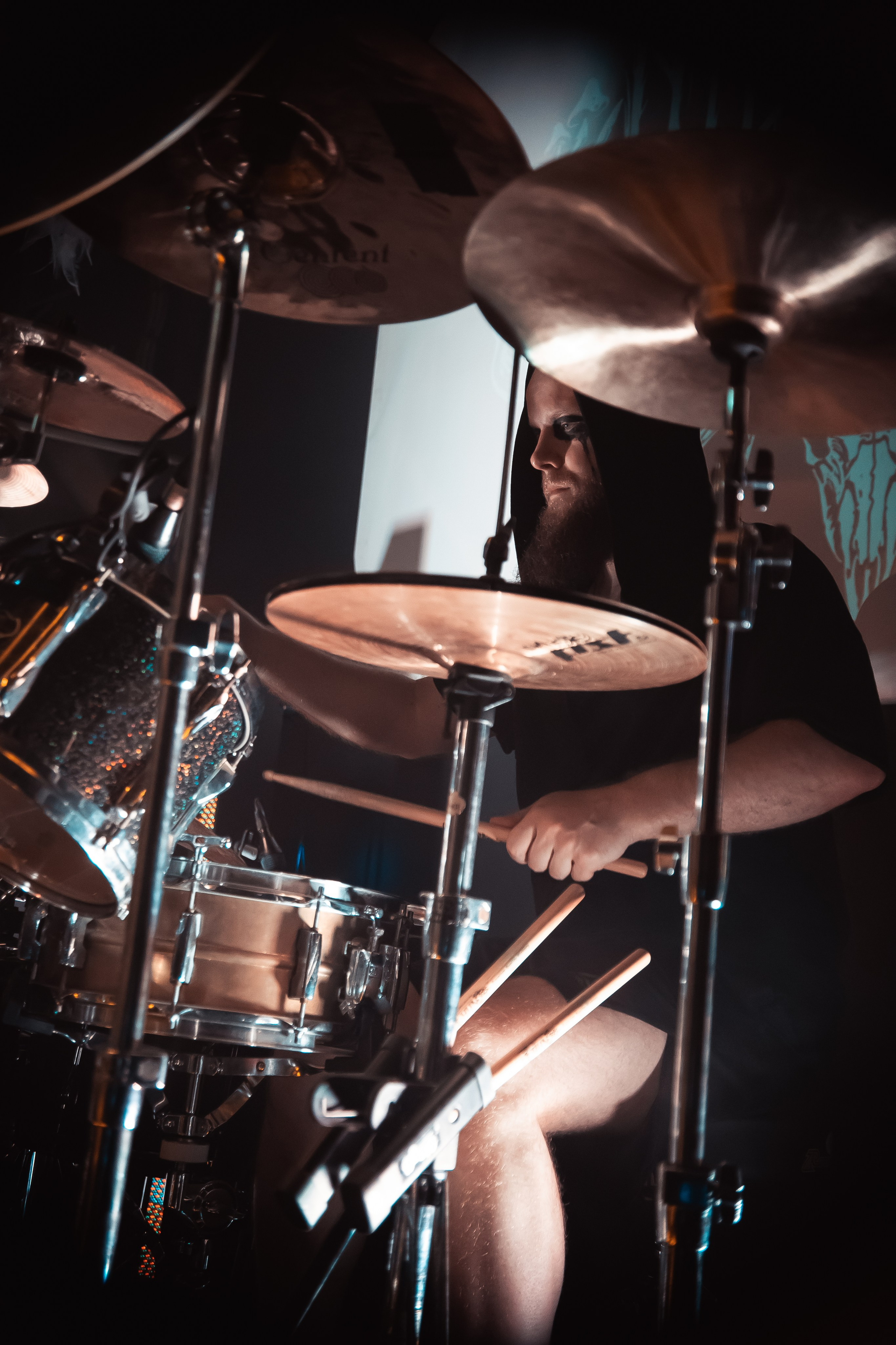 Мещера, Эрмитаж, 22.02.2026. Фотограф Регина Крикунова г. Красноярск