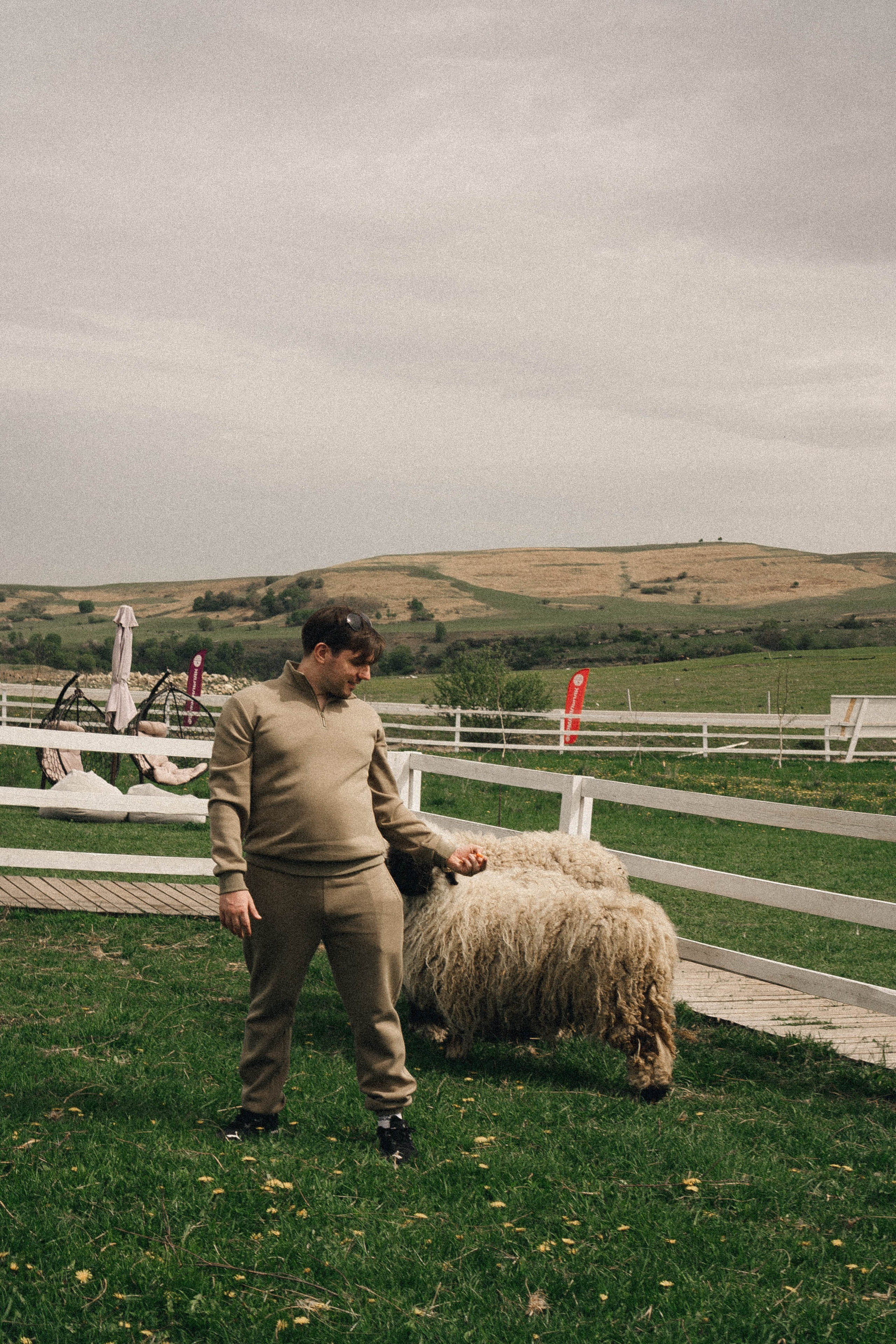 Ферма Альпак. Профессиональный фотограф, Санкт-Петербург — Виктория Богомолова