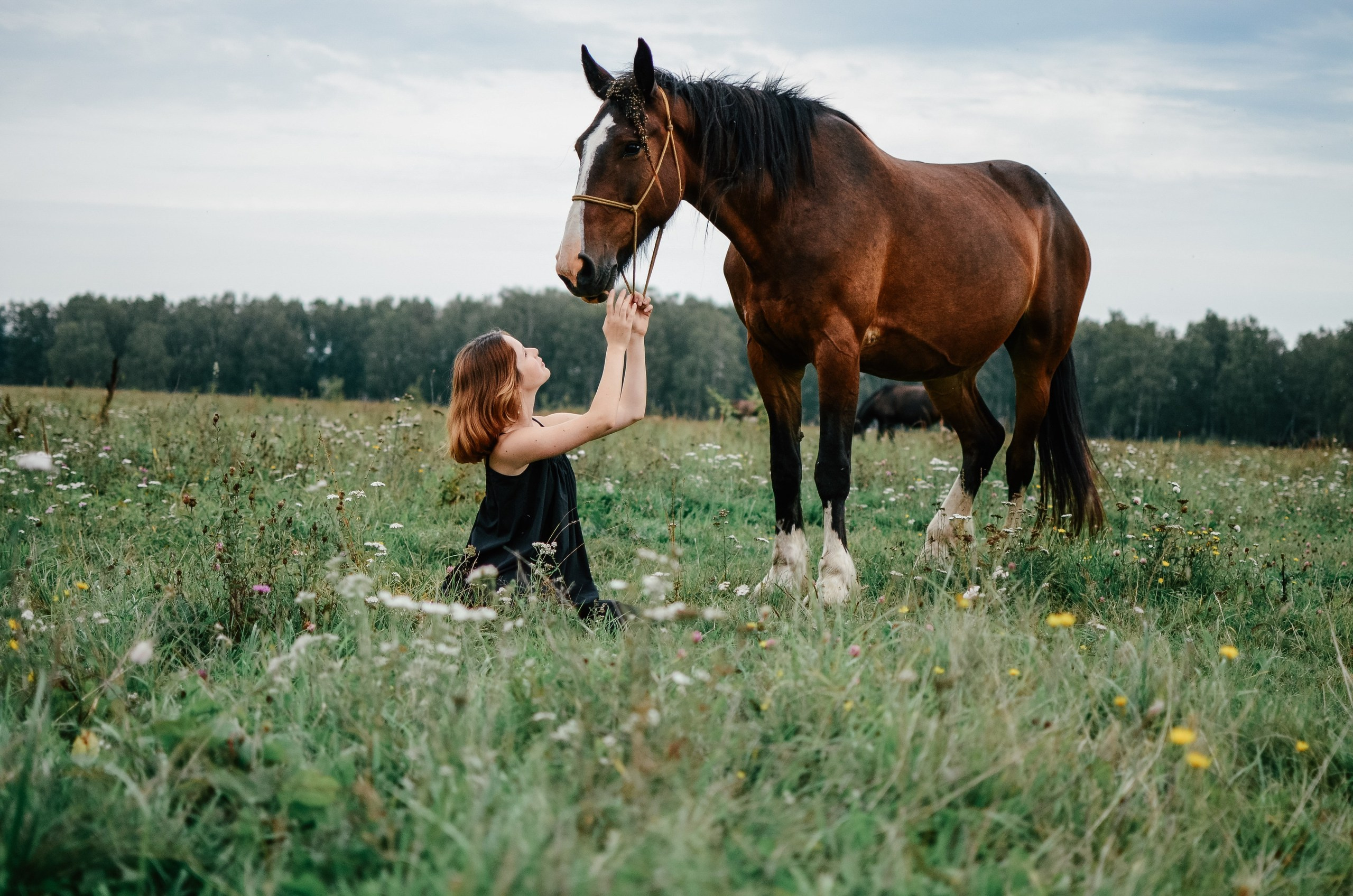 Семейный фотограф г. Москва