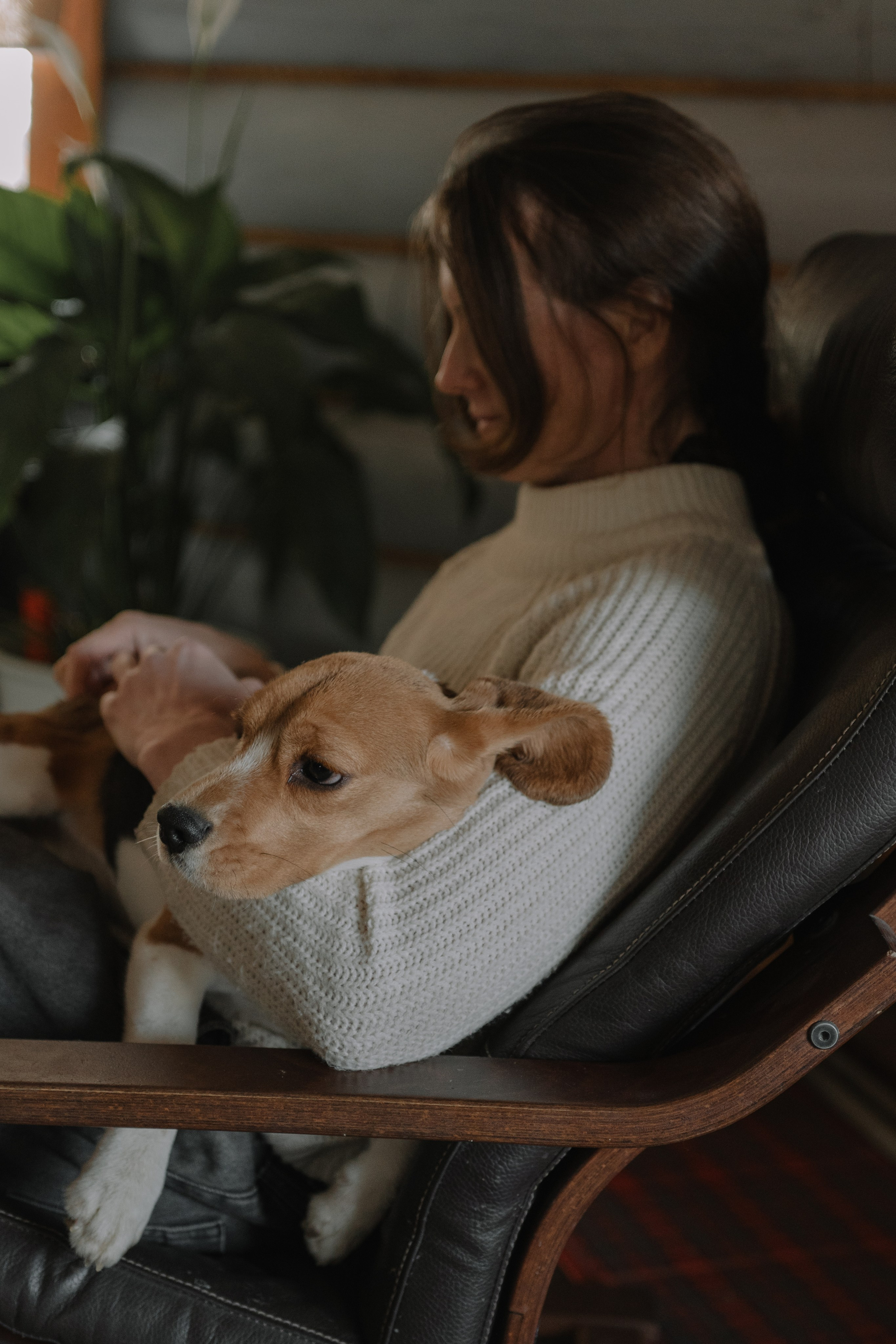 Маша, бигль Вера и её ферма. Семейный фотограф в Москве Алёна Чача
