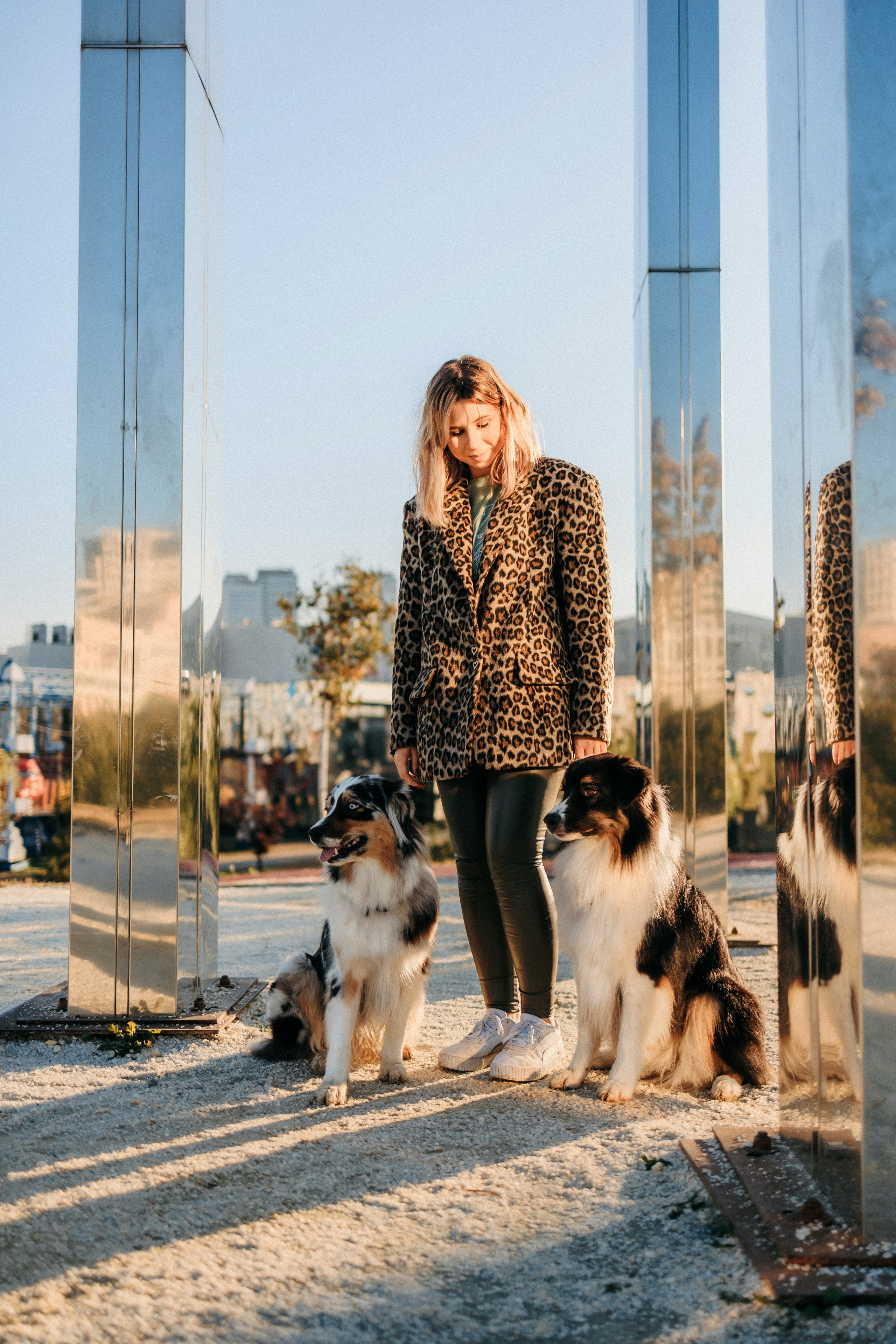 Аня, Чарли и Ева. Фотограф-анималист Елена Радченко, Москва