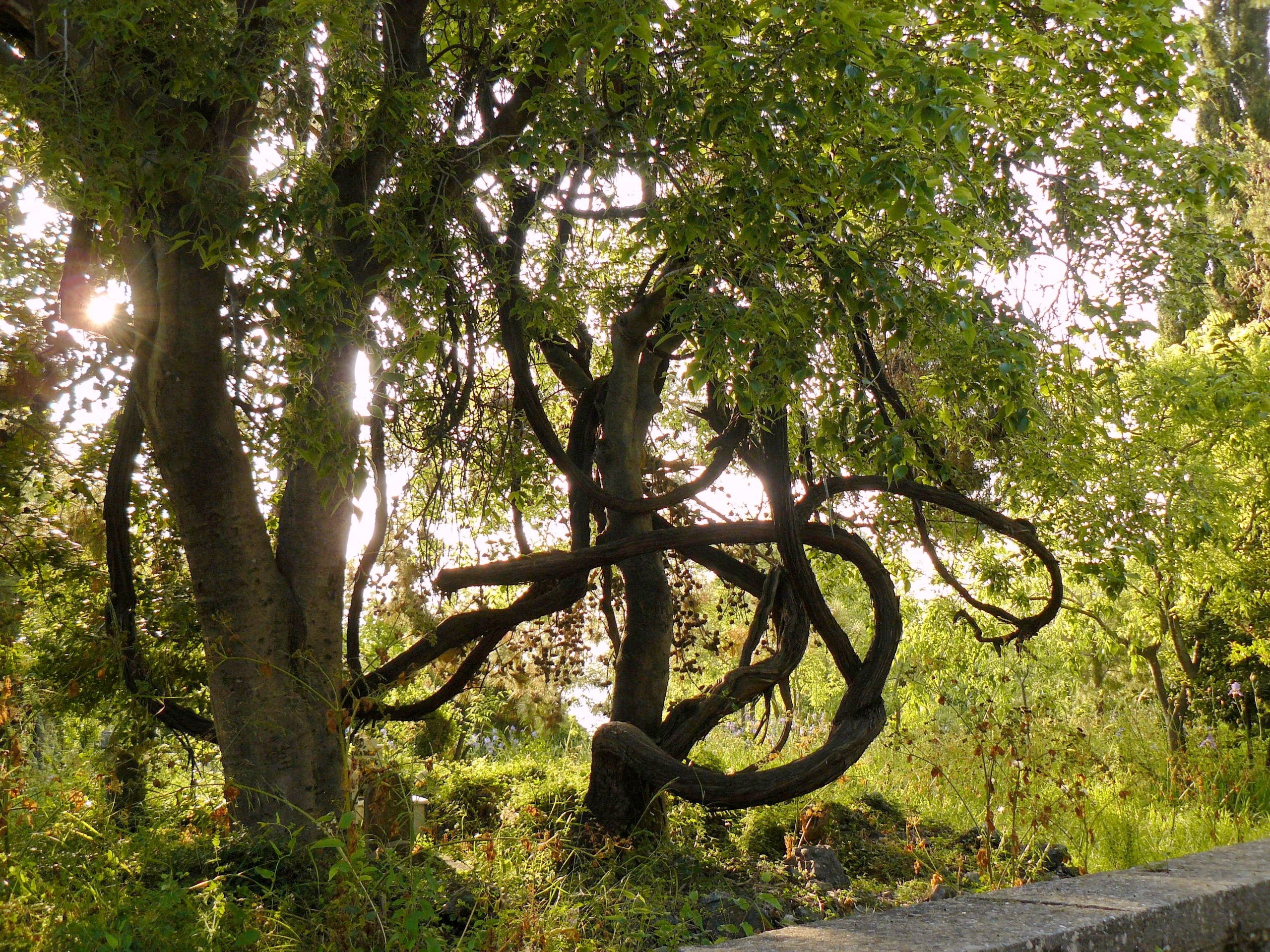 Алания 2014 старая крепость. Фотопрогулки по Миру