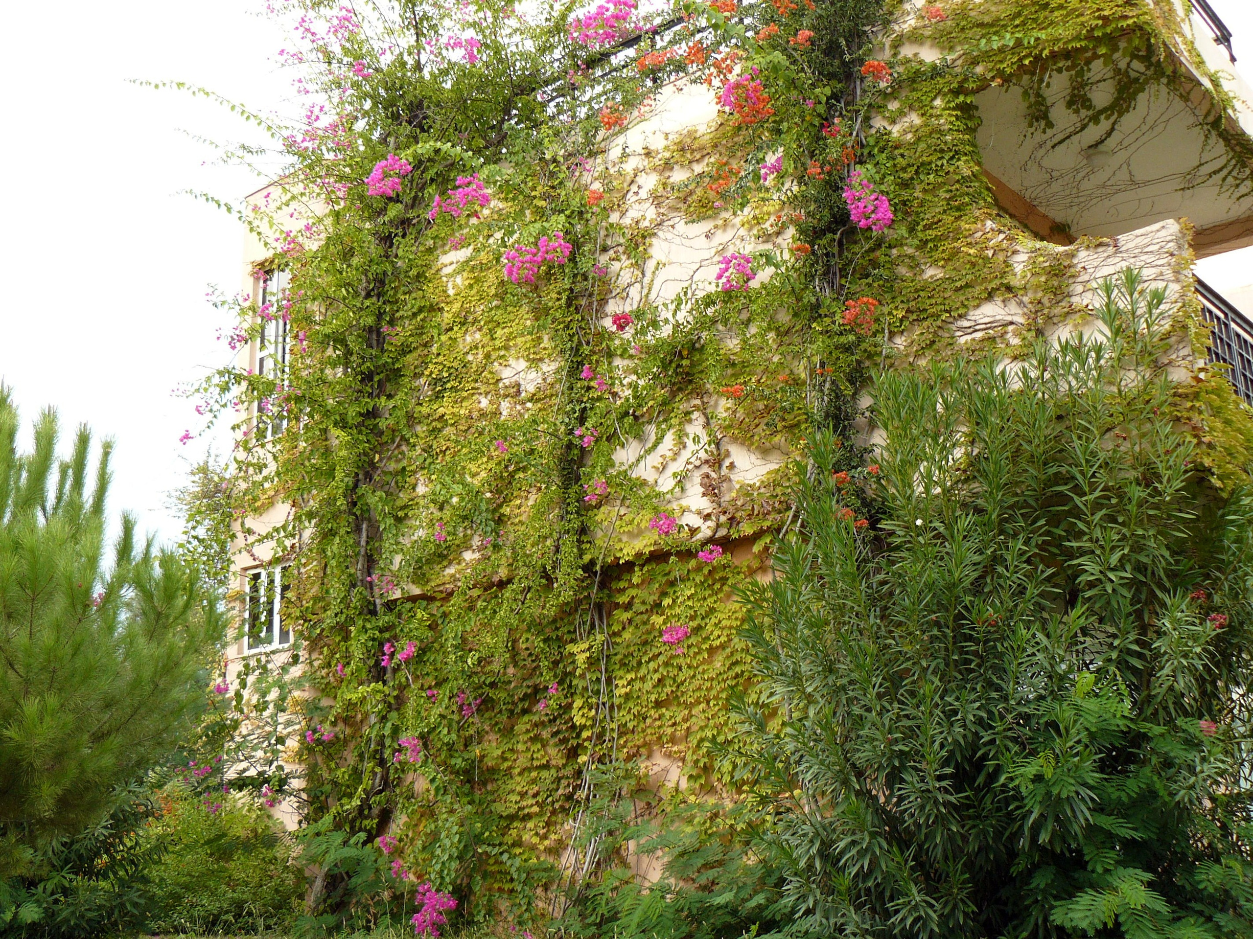 Кемер, Чамьюва 2008. Избранные фотографии