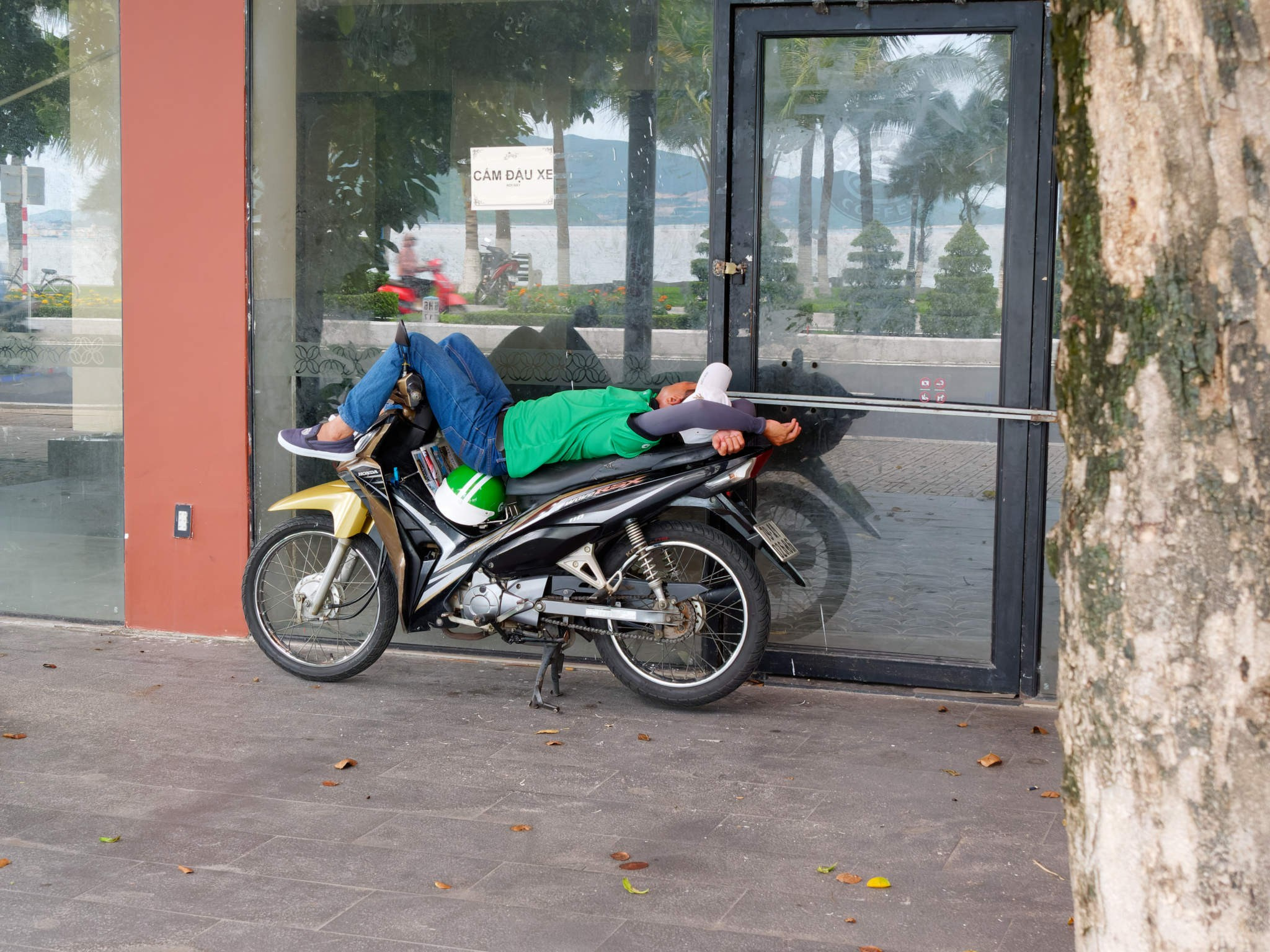 Нячанг 2023. Избранные фотографии