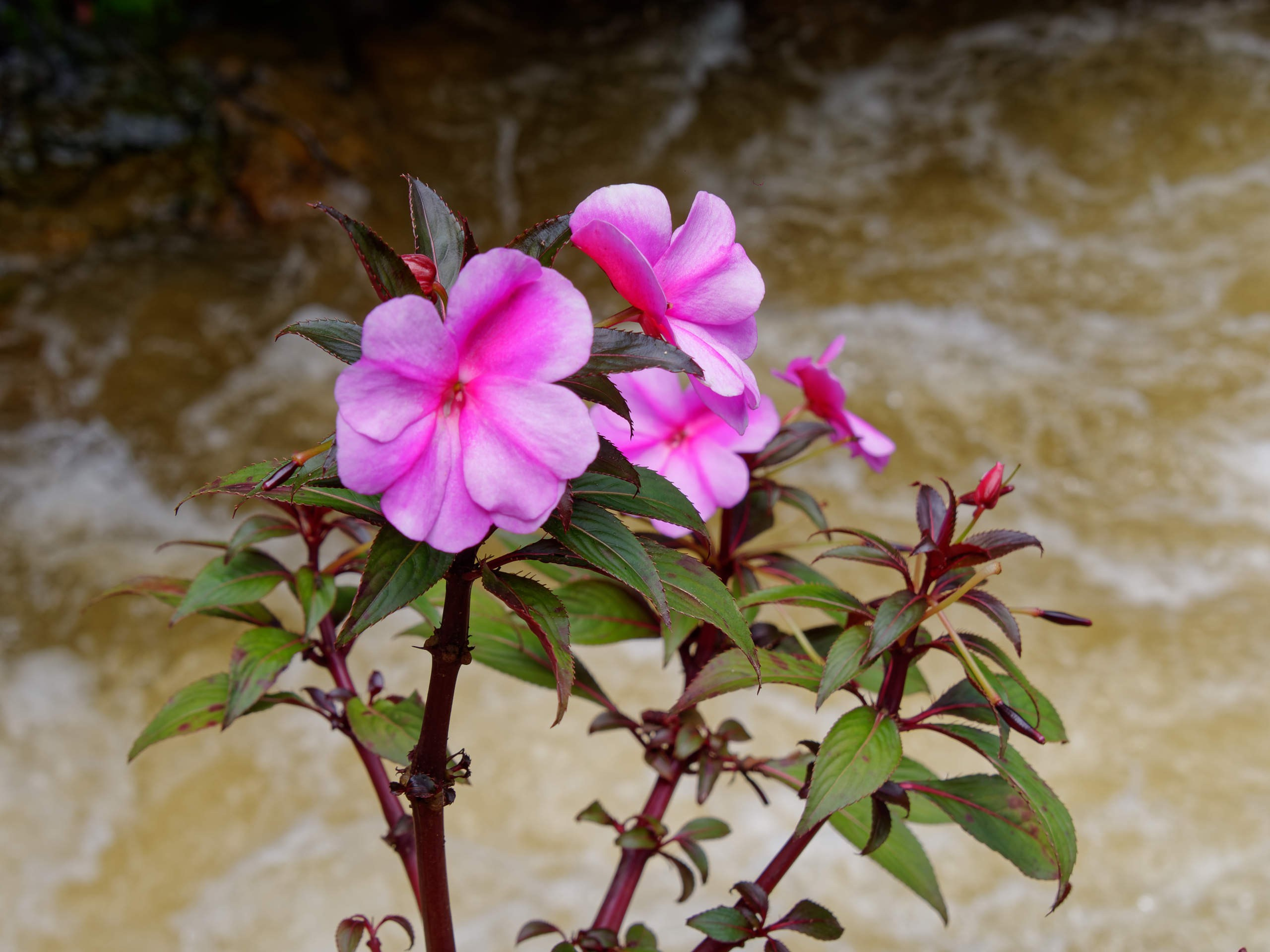 Далат 2023. Избранные фотографии