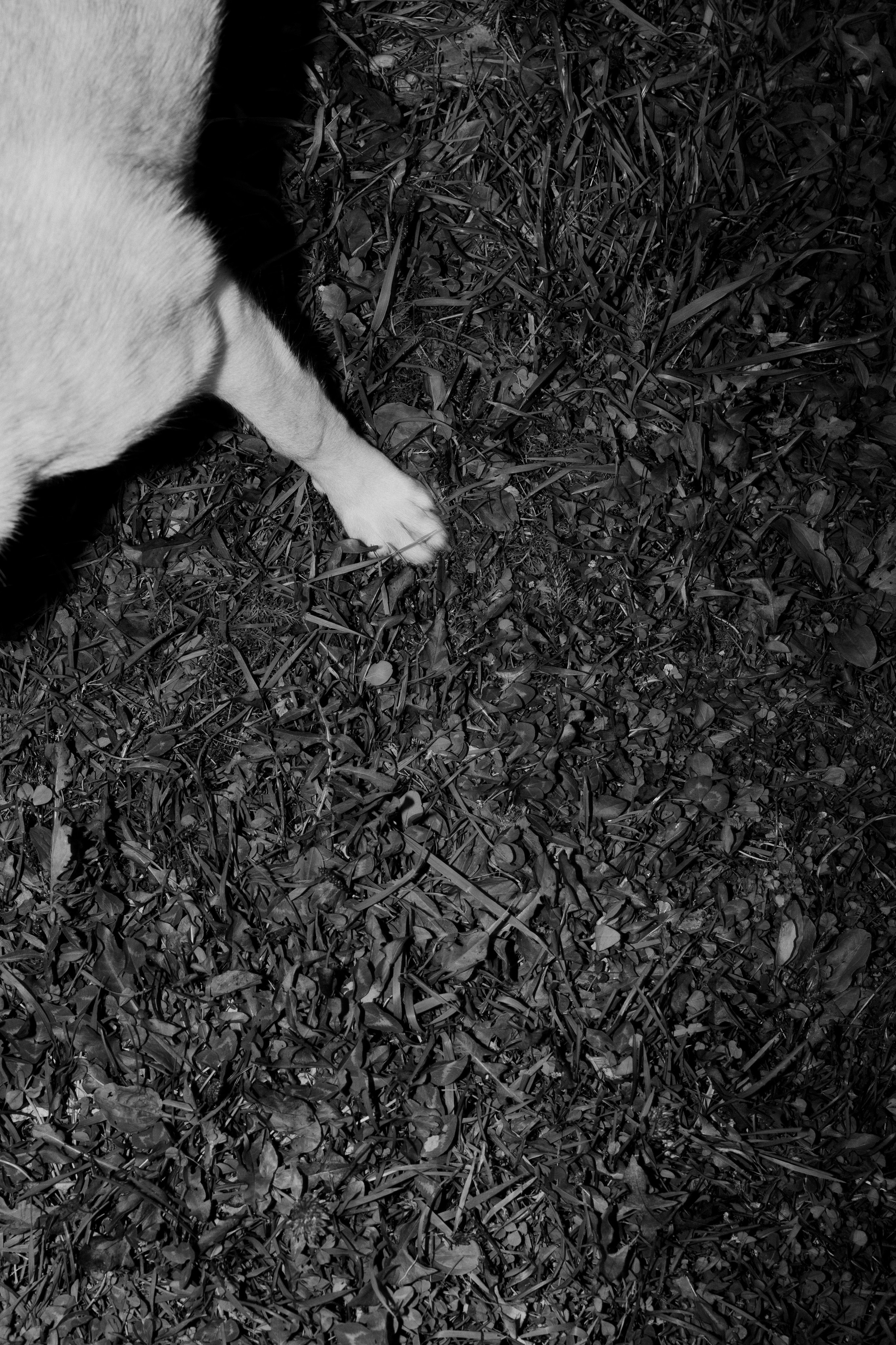 Улица Балтийская. Veronika Popadeikina Photographer