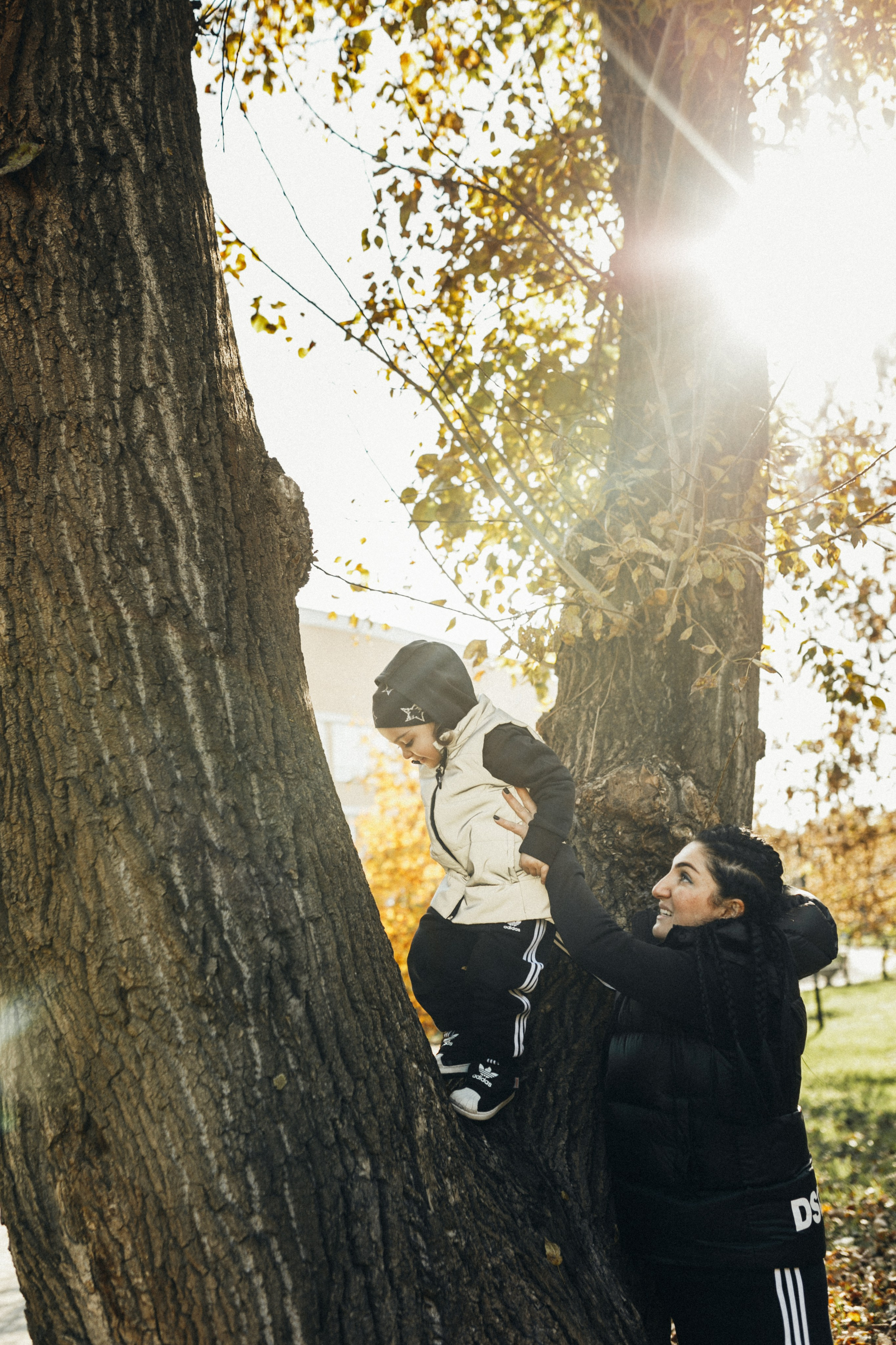 КОГДА ДЕРЕВЬЯ БЫЛИ БОЛЬШИМИ. Фотограф Лебедева Наталья