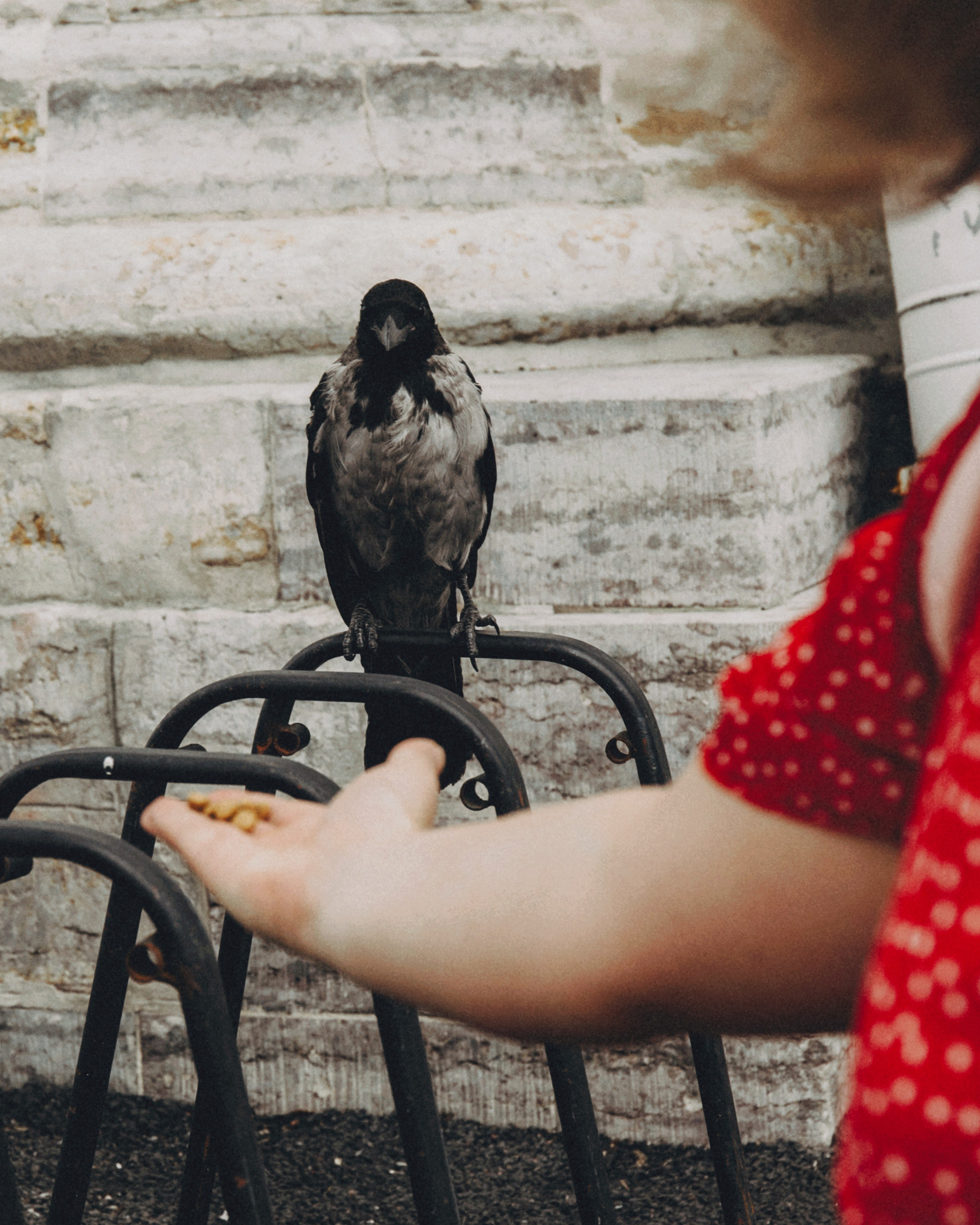 Катерина. Портретный фотограф Ванинен Анастасия. Санкт-Петербург