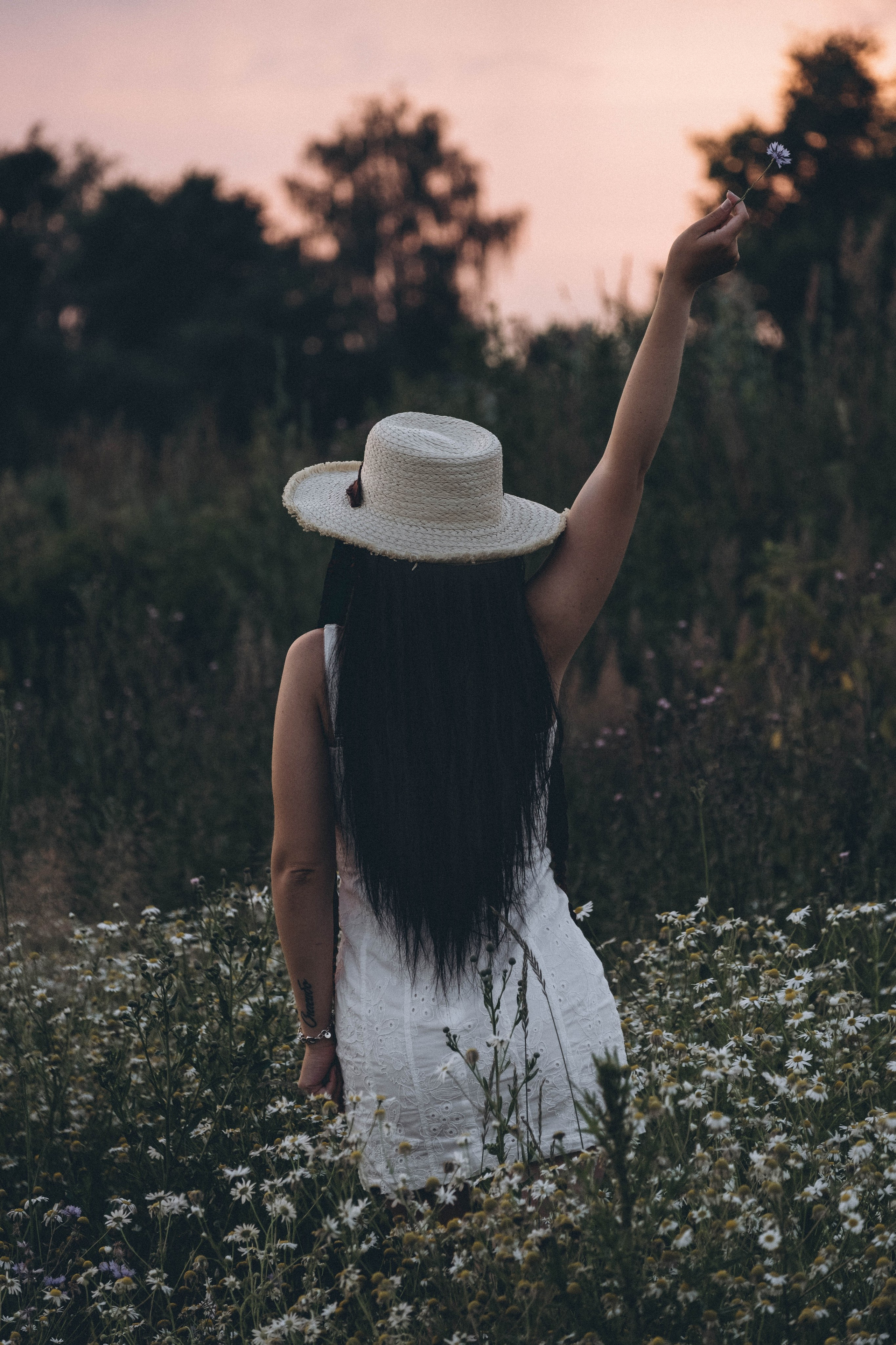 Ромашковое поле. Профессиональный фотограф, Санкт-Петербург — Виктория Богомолова
