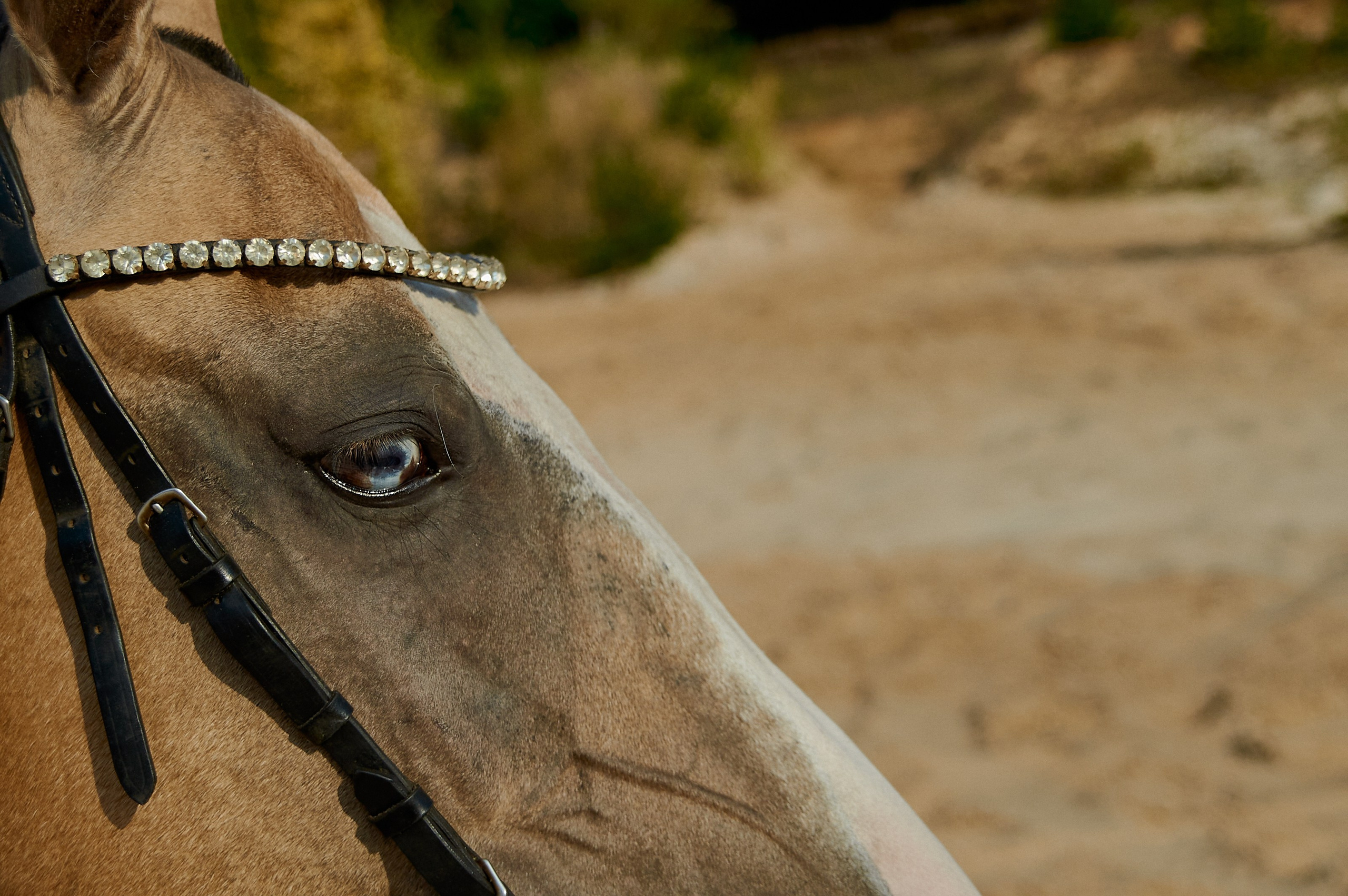 Диана. Фотограф, психолог в Москве, Жуковском, Раменском Галина Майлер