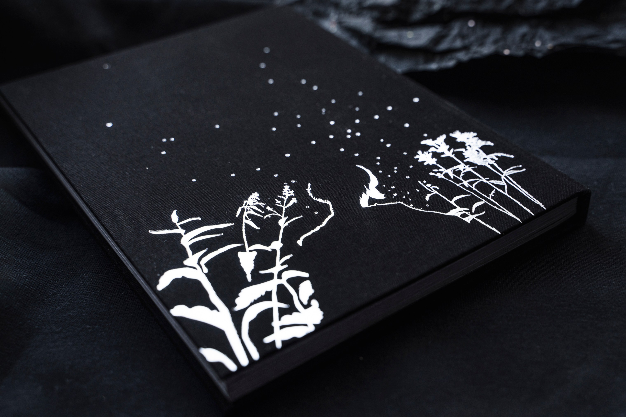 Книга Эос. Элина Гусарова