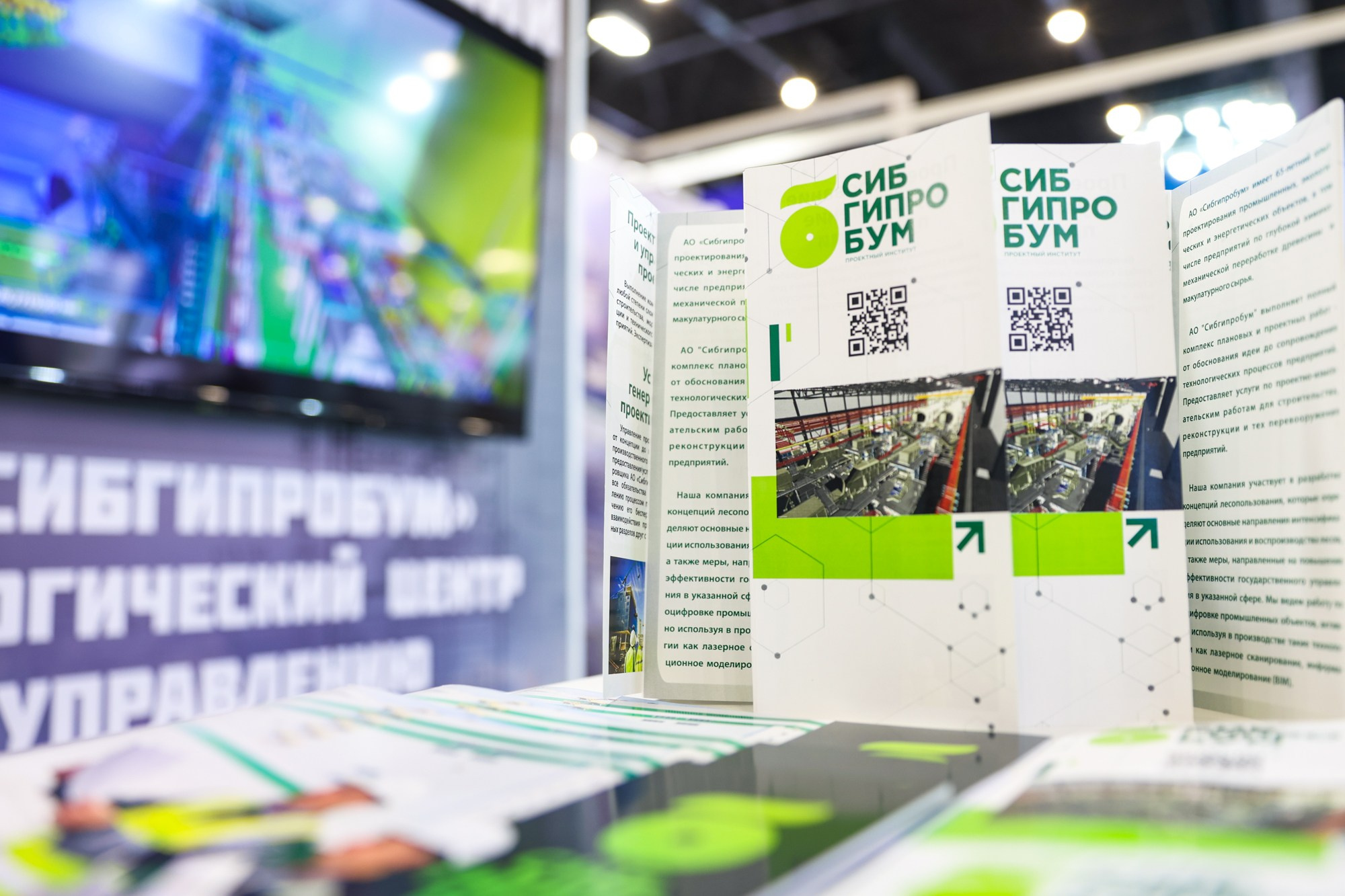 PulpFor 2024. Фотограф Дарья Попова