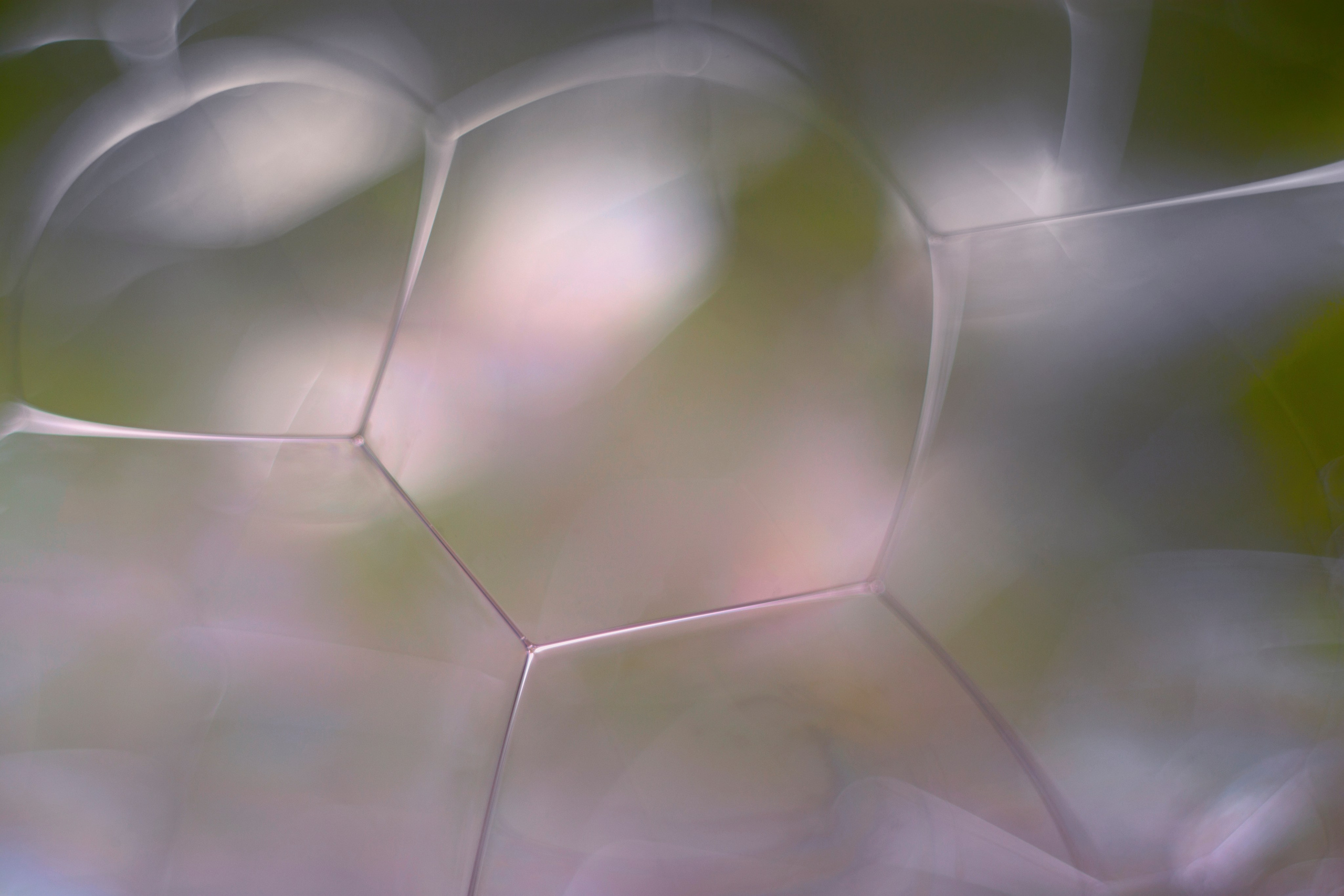 Макро. Фотограф Лагутин Анатолий