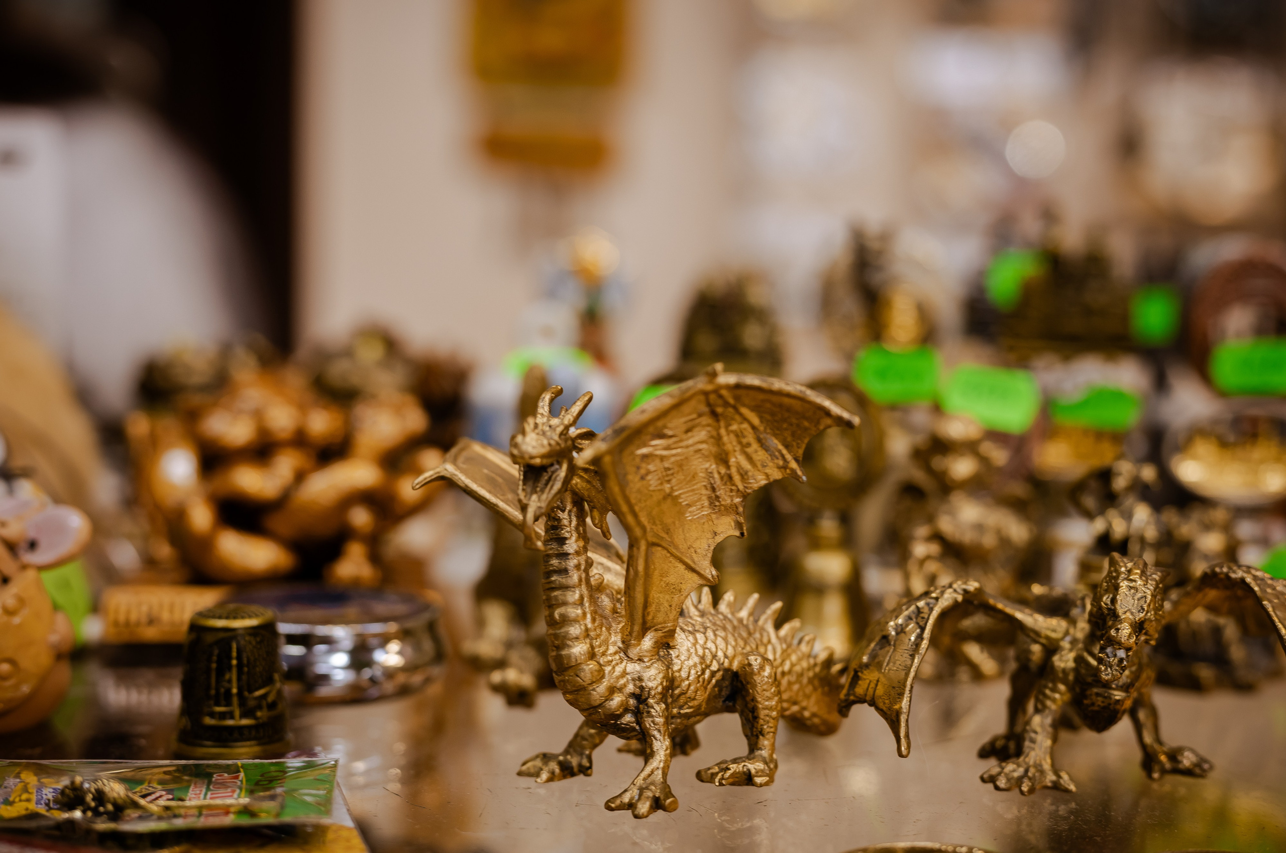 Фотосъемка собак, щенков, на выставках, фотограф анималист Россия воронеж. Питомник собак Акита, Хаски, Корги